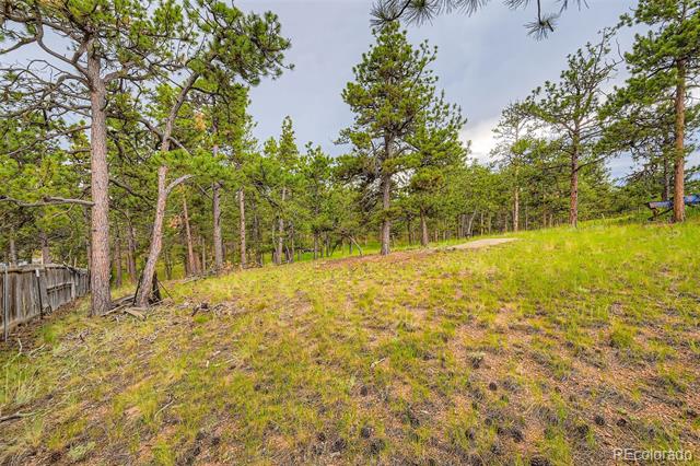 Wooded sloping lot with mature pine trees and a weathered fence along the left edge.