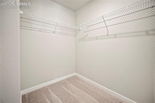 8275 Grey Bark Way