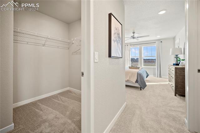 8275 Grey Bark Way