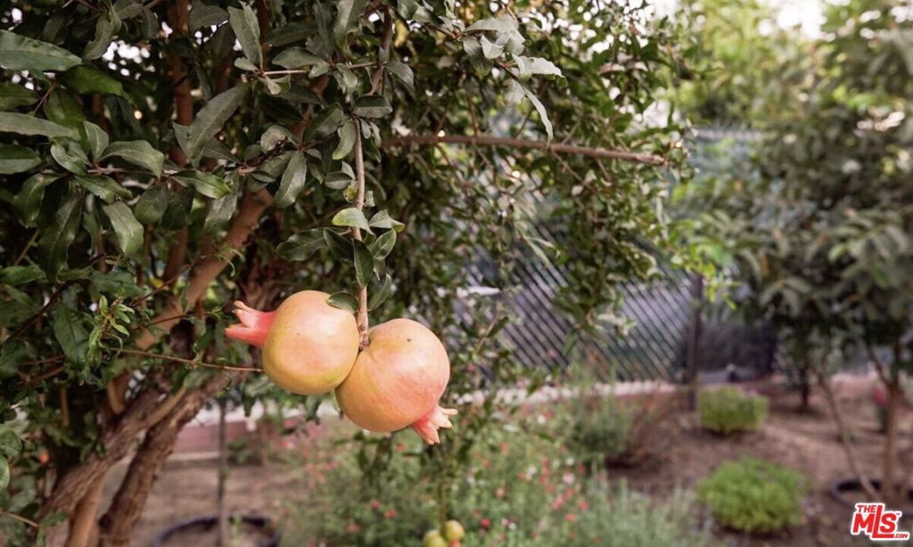 2348 Elmgrove Street