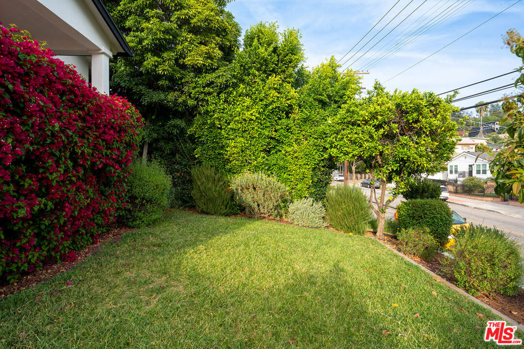 3415 Division Street