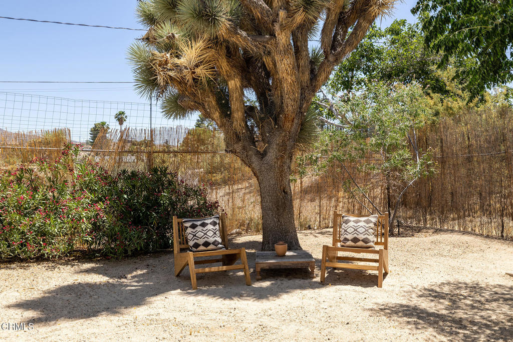 54667 Benecia Trail