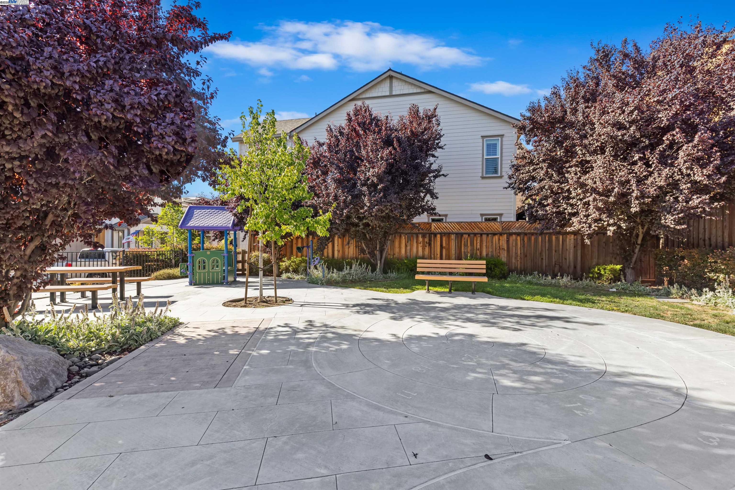 2209 Shiraz Cmn