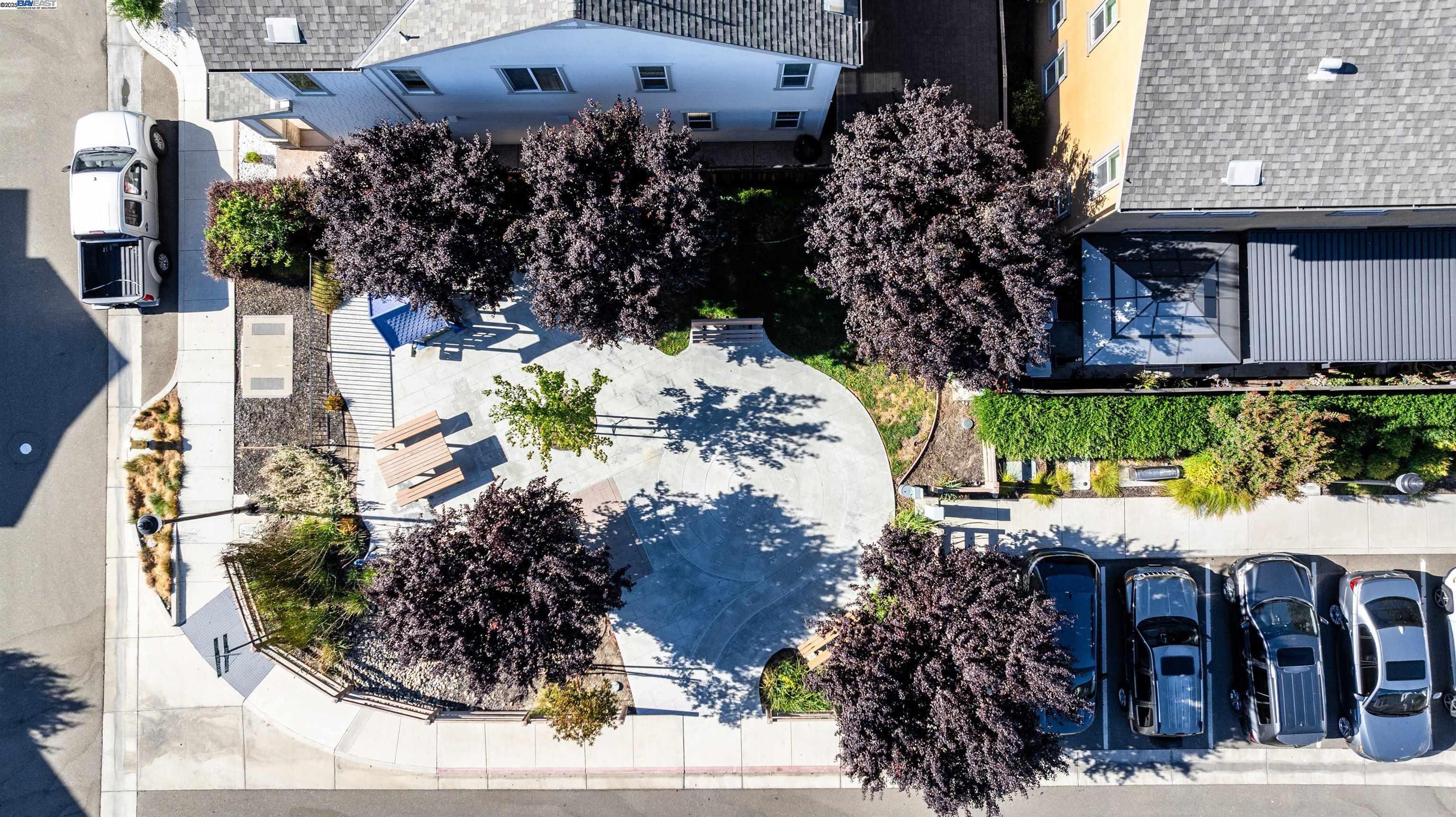 2209 Shiraz Cmn