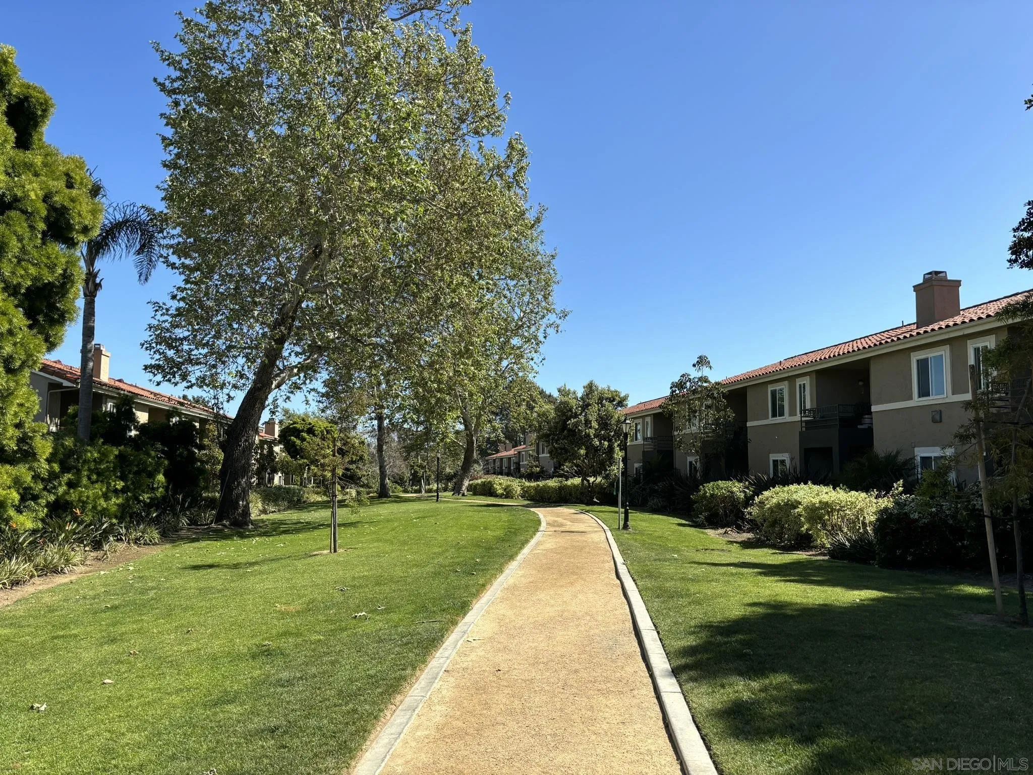 7565 Charmant Dr Unit 504
