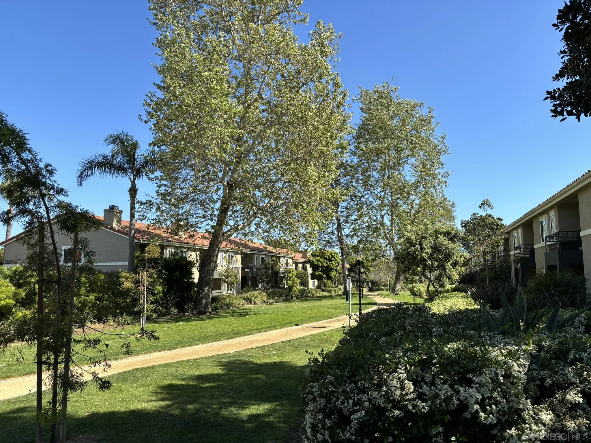 7565 Charmant Dr Unit 504