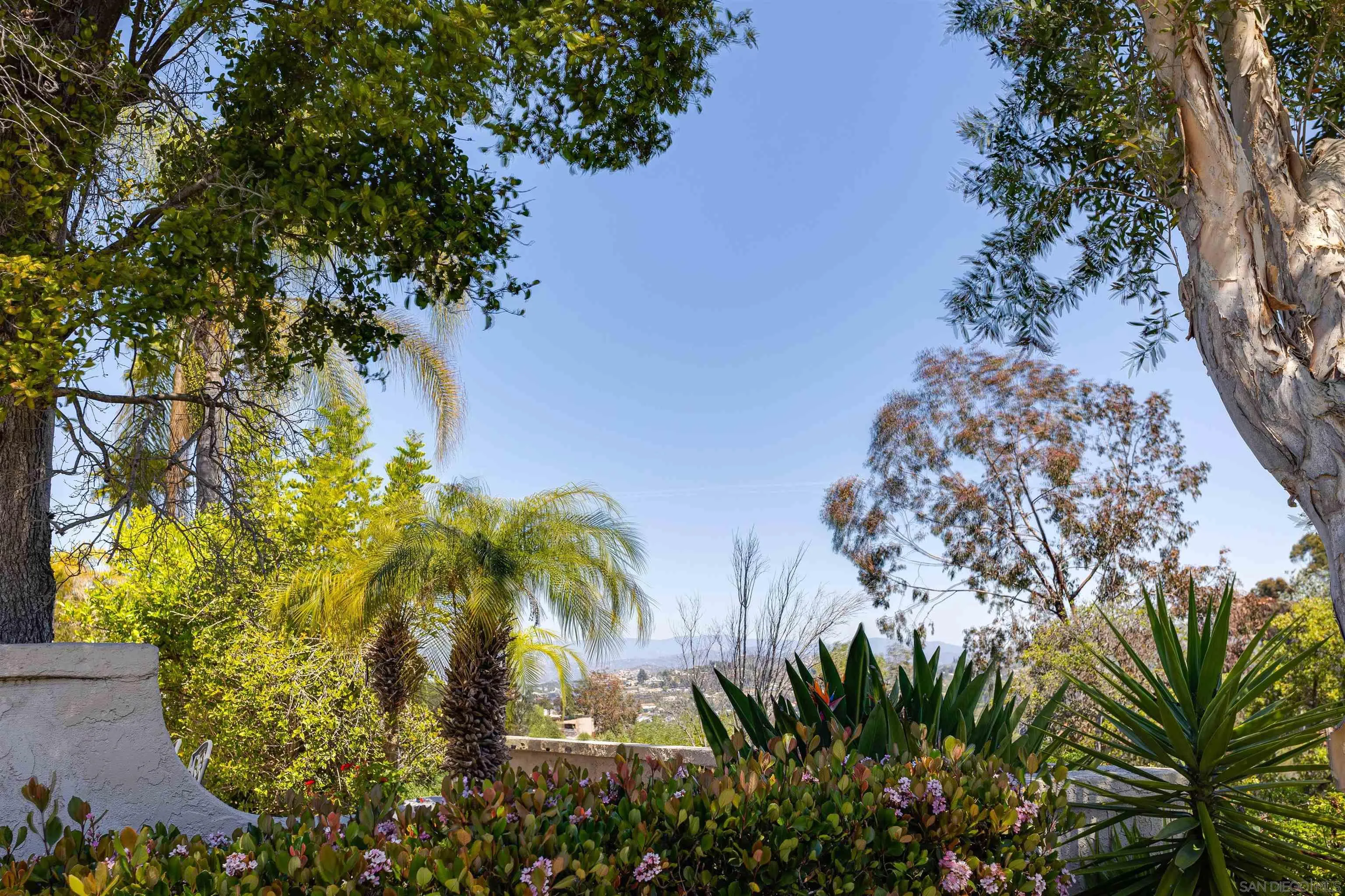 12520 Paseo Lucido Unit 146