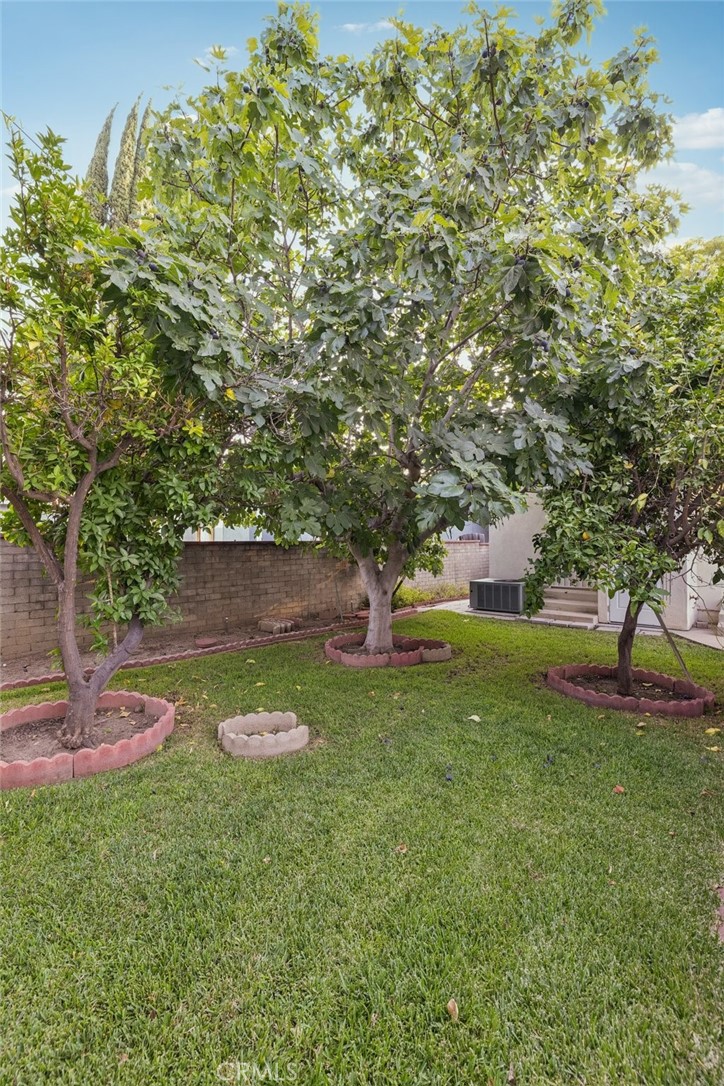 6542 Zelzah Avenue