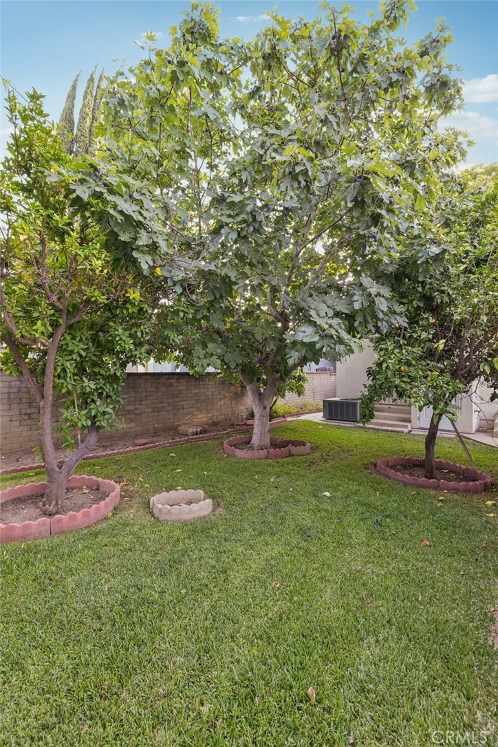 6542 Zelzah Avenue