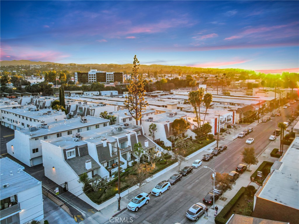 18360 Collins L
