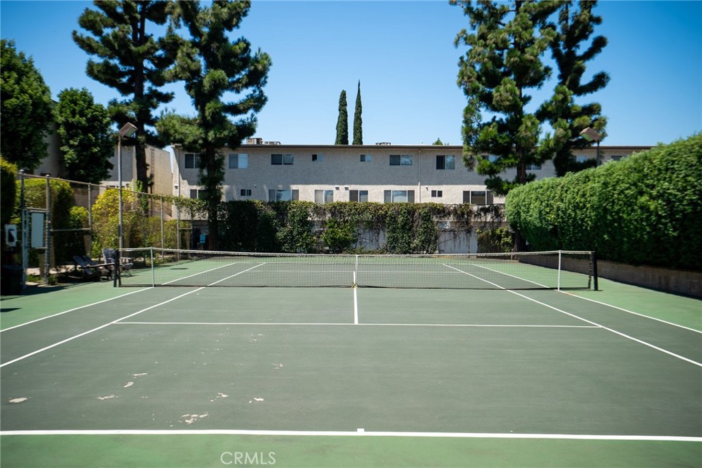 18360 Collins L