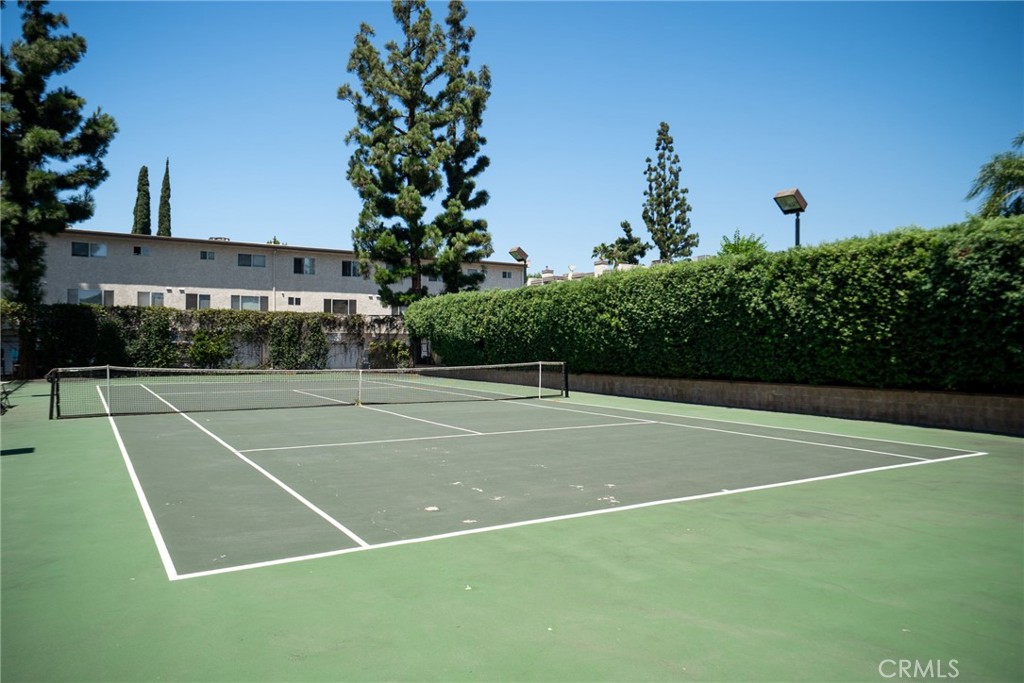 18360 Collins L