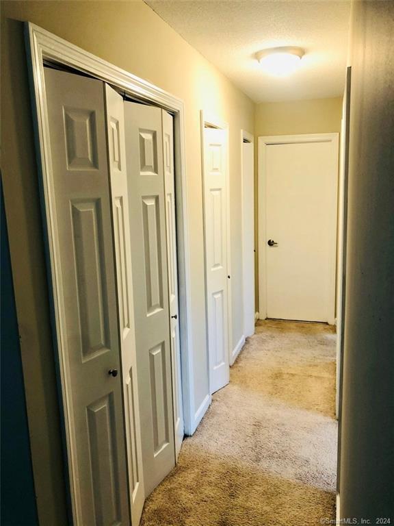 509 Burnside Avenue APT C9