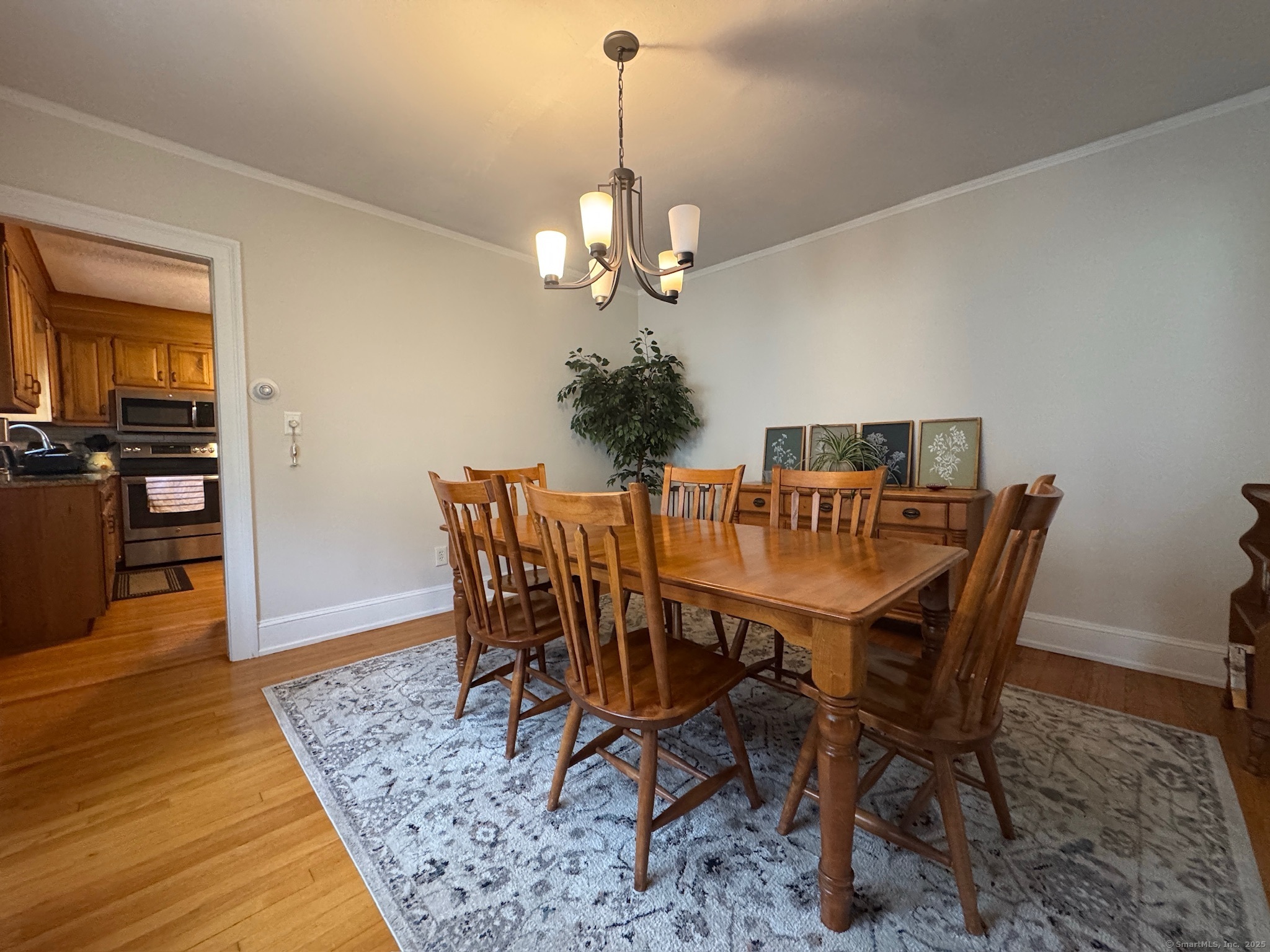 95 Ardmore Road