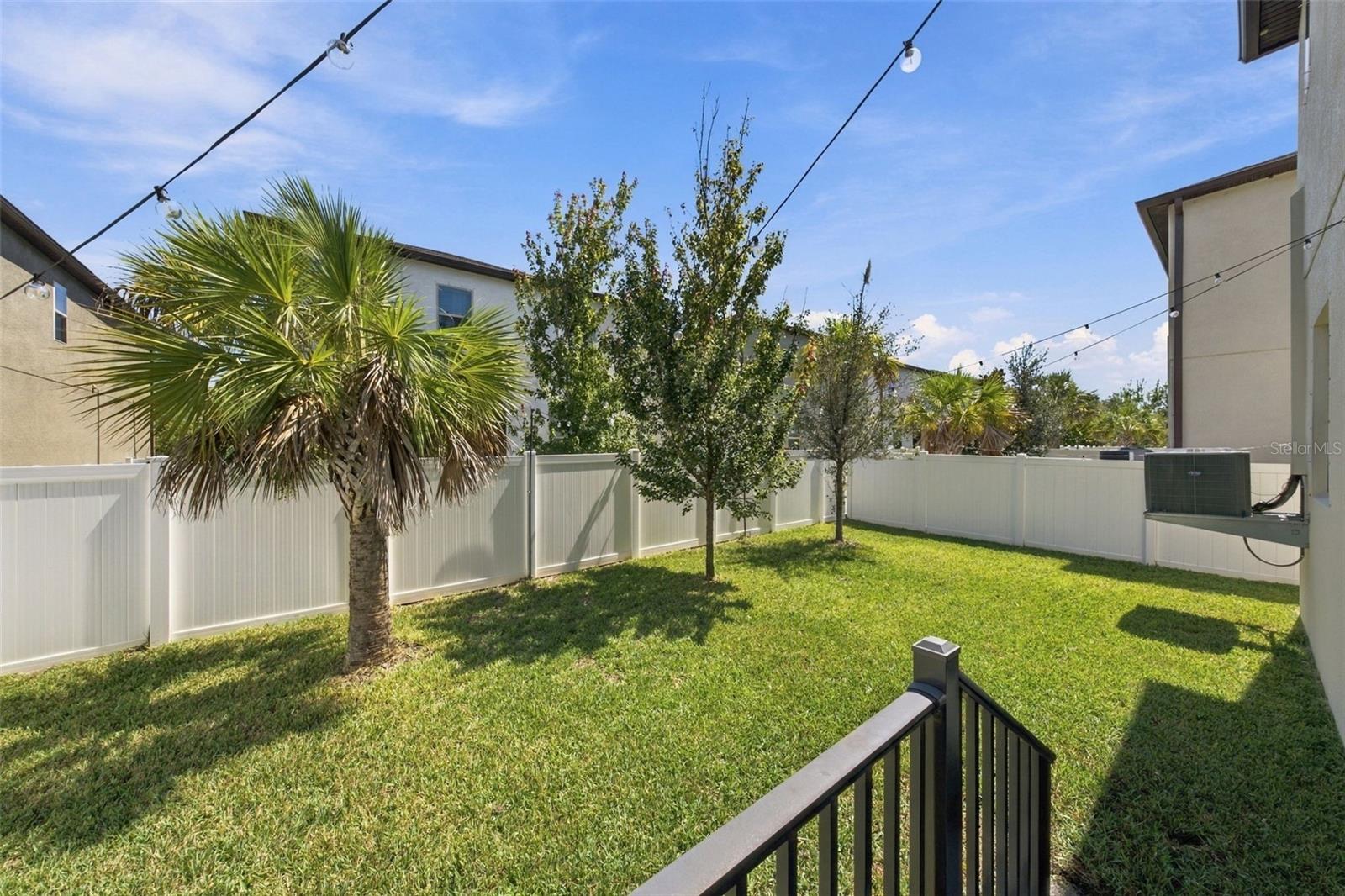 Fenced backyard with a green lawn, palm tree, young trees, and overhead string lights.
