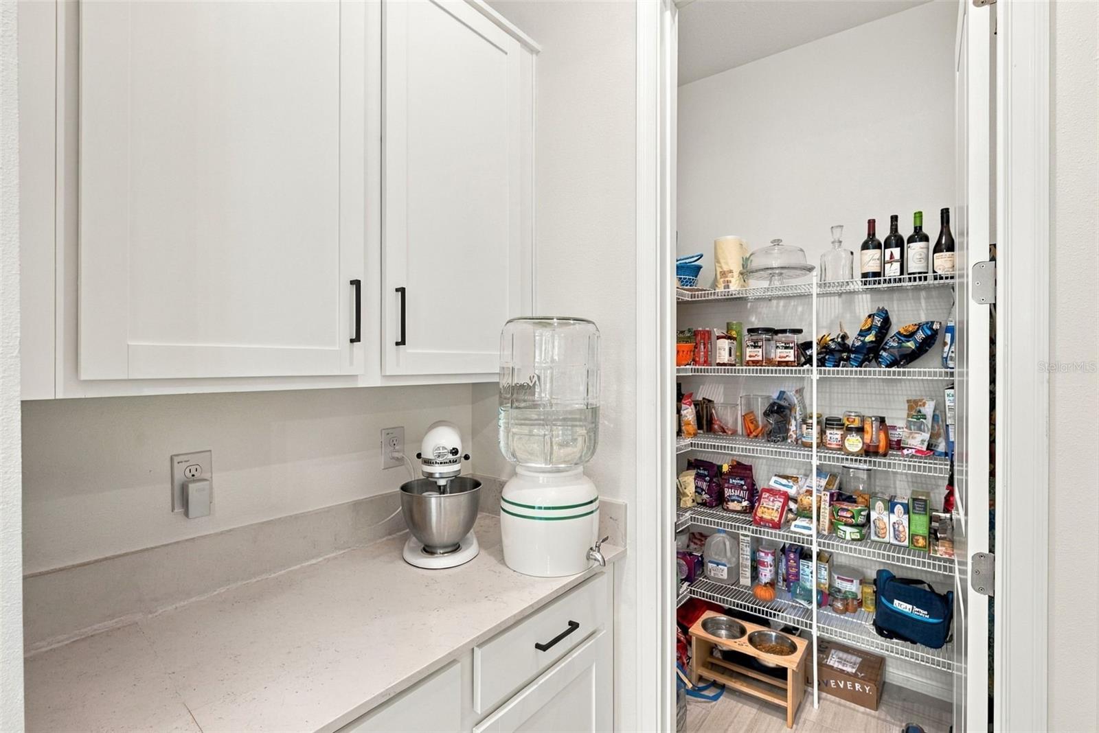 Kitchen pantry with white cabinets, pale stone counters, and a well-stocked walk-in pantry.