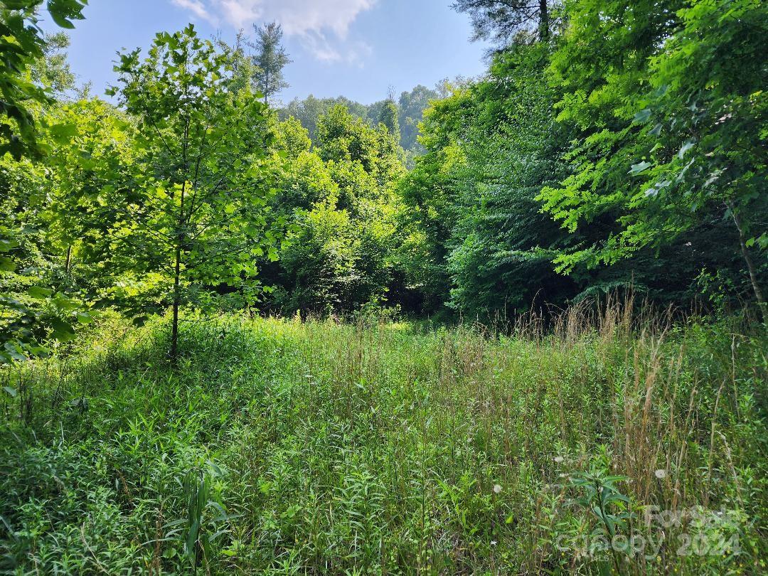 000 Hickory Nut Ridge Road Unit: 10