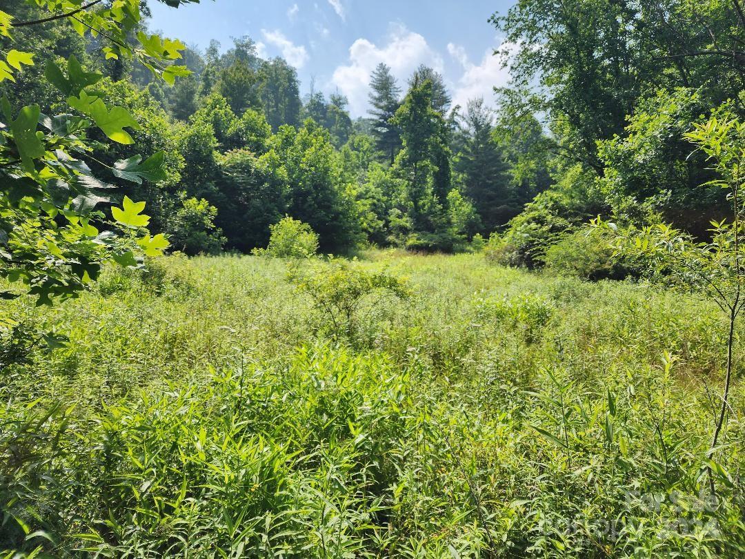 000 Hickory Nut Ridge Road Unit: 10