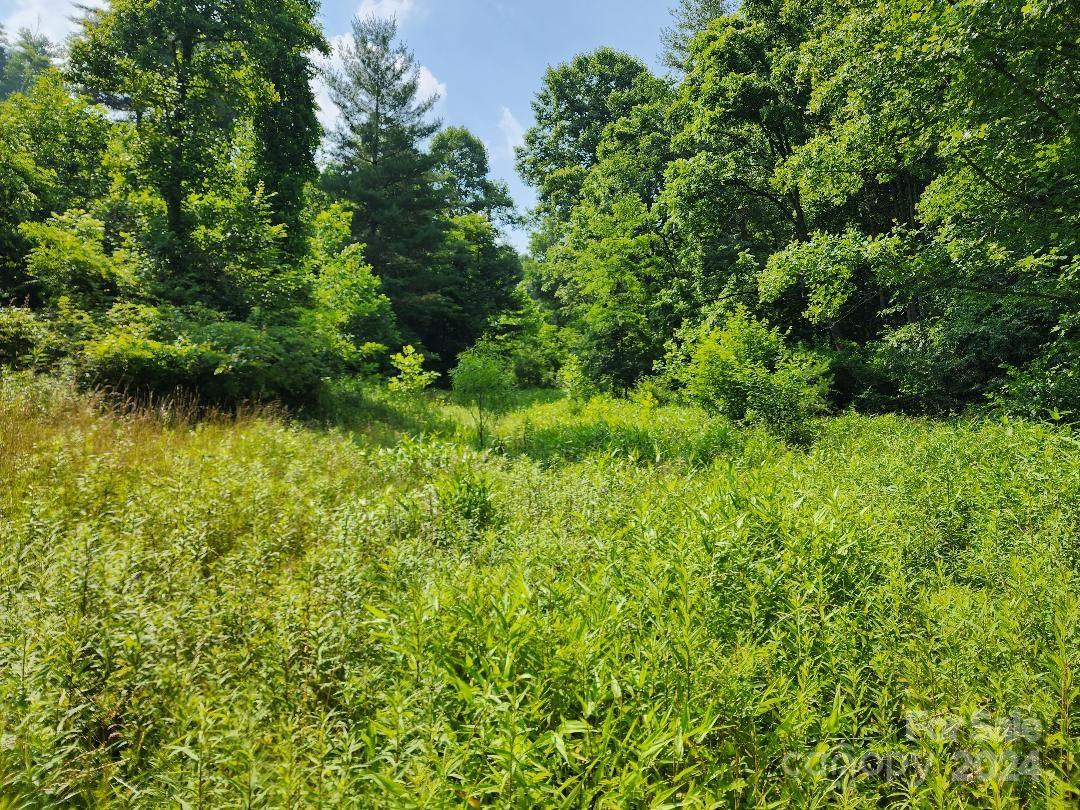 000 Hickory Nut Ridge Road Unit: 10
