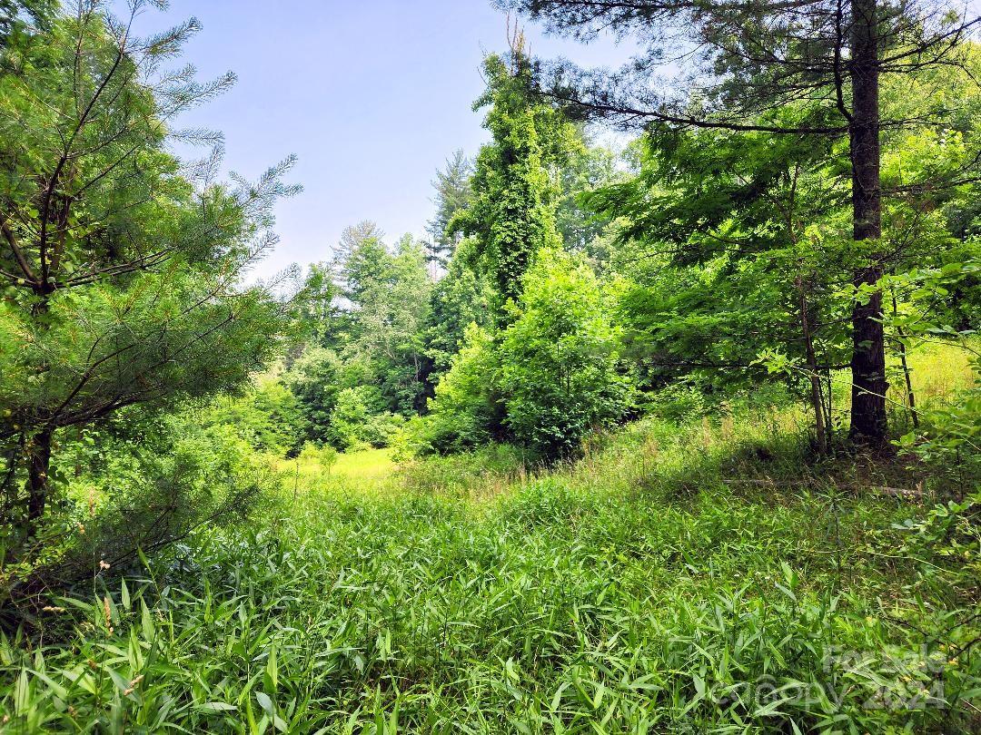 000 Hickory Nut Ridge Road Unit: 10