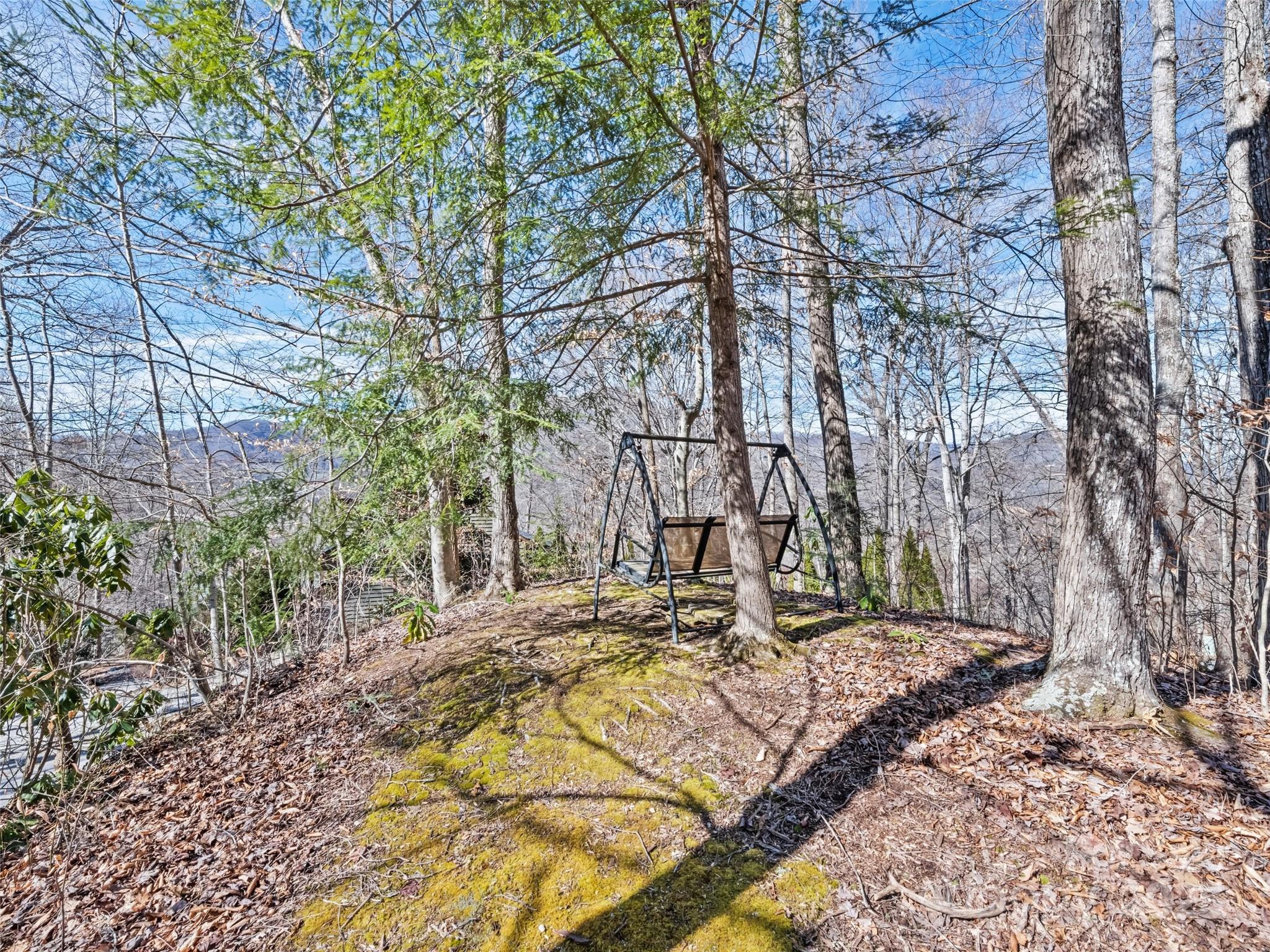 20 Bright Leaf Cove