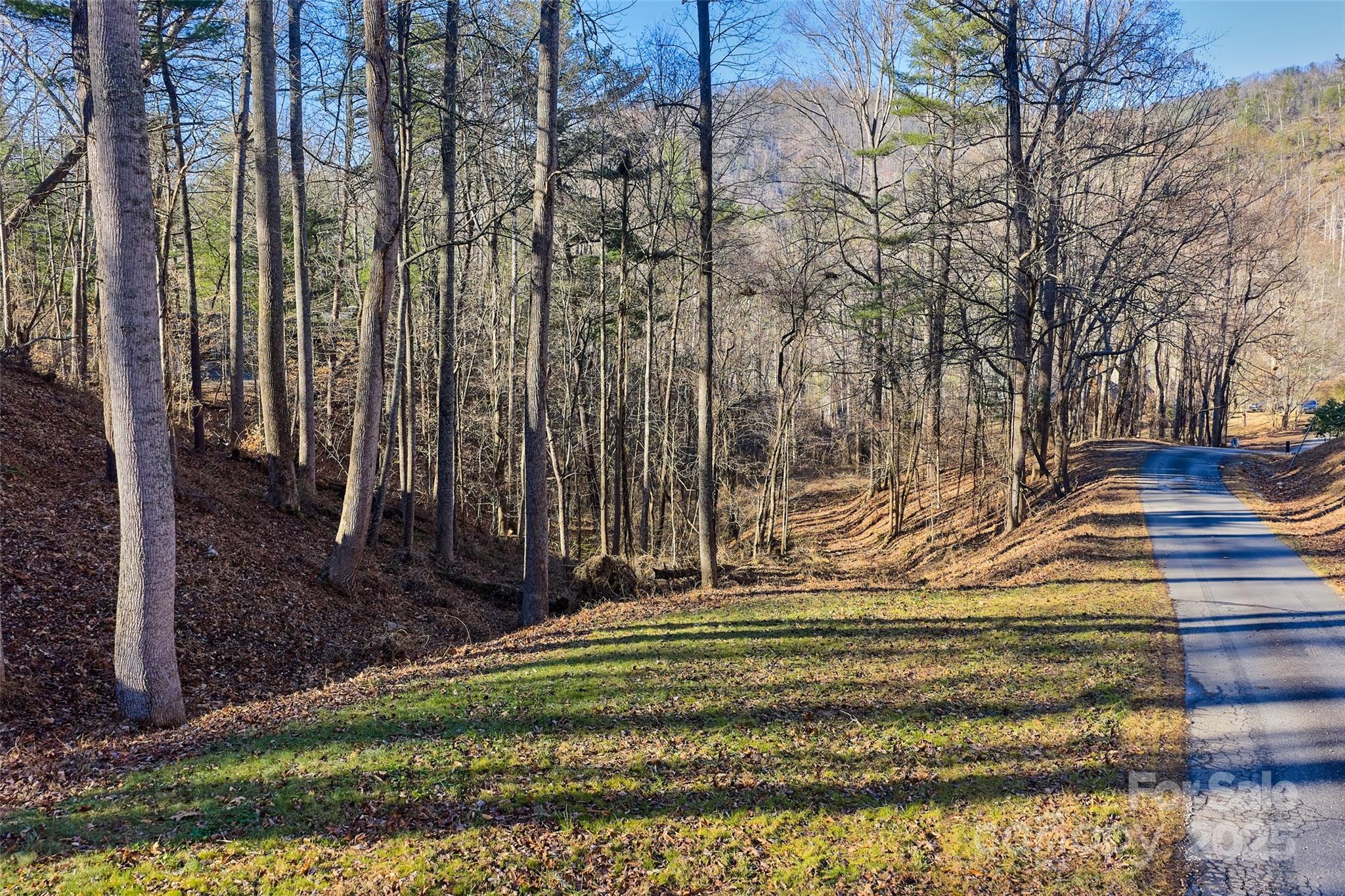 15 Beech Tree Lane