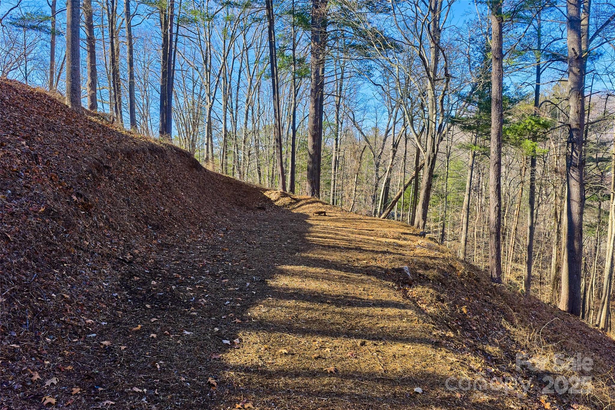 15 Beech Tree Lane