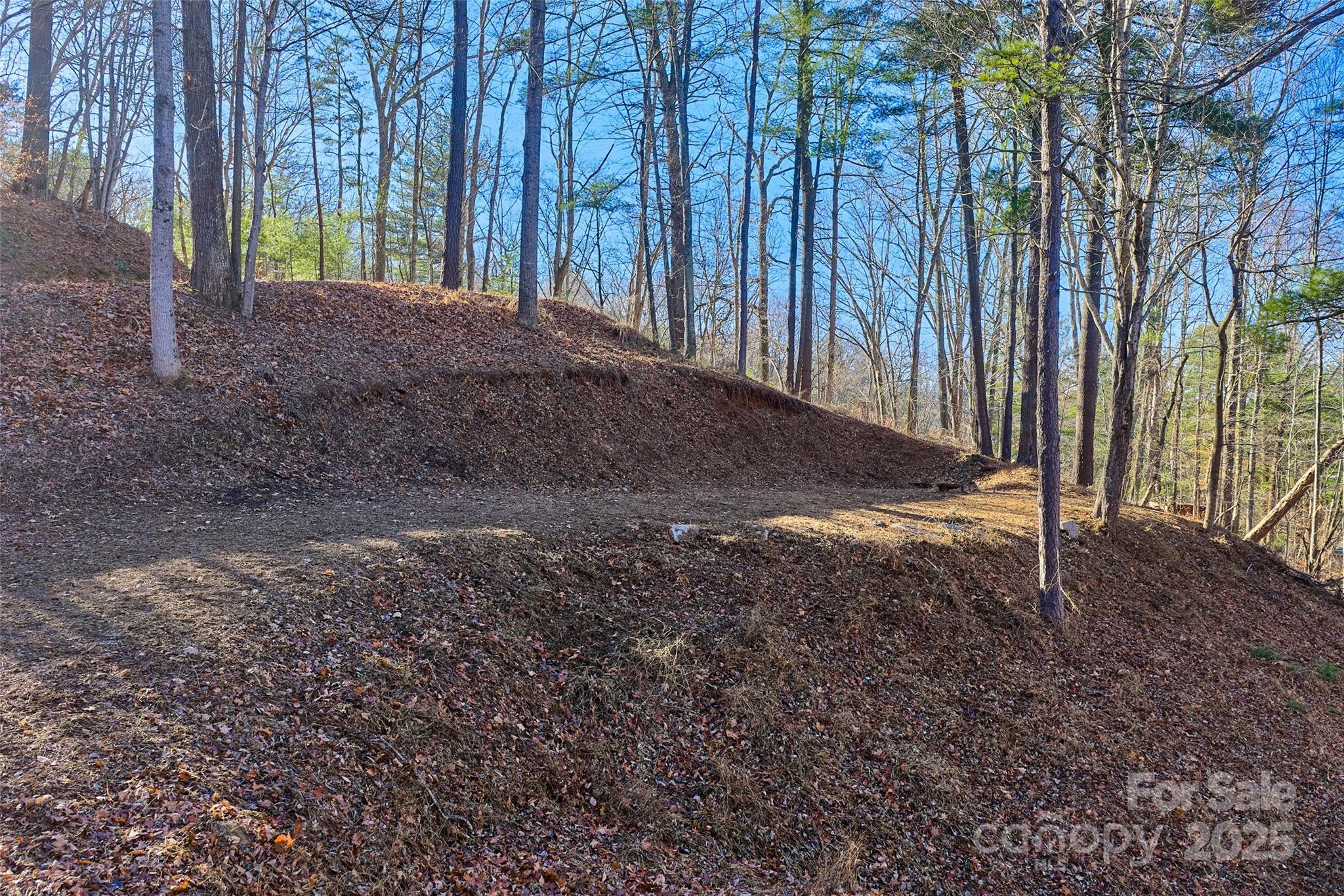 15 Beech Tree Lane