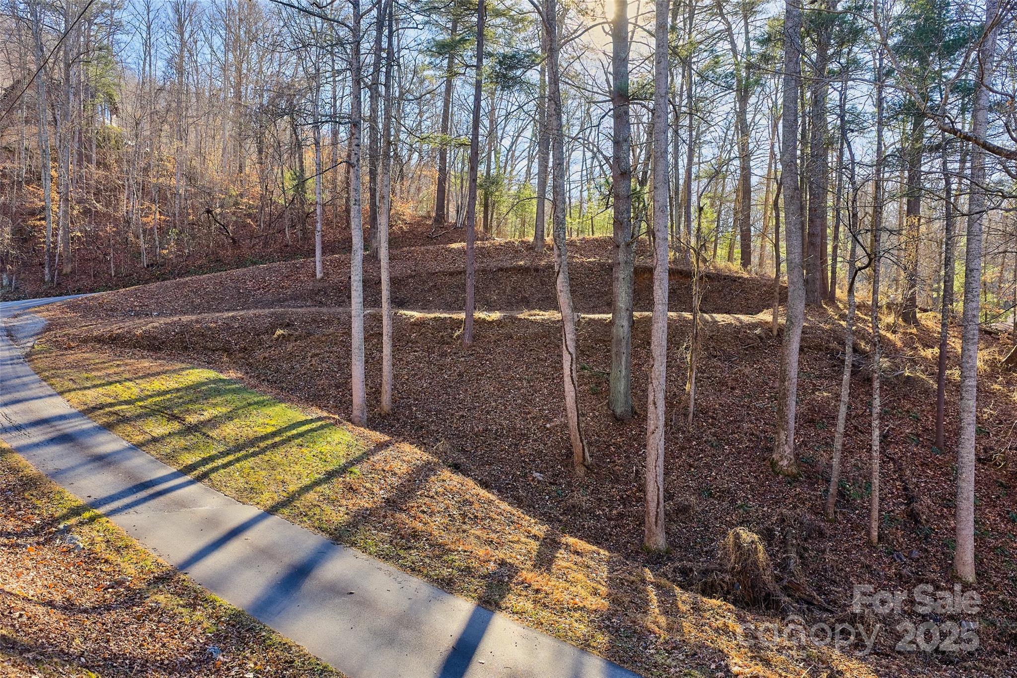 15 Beech Tree Lane