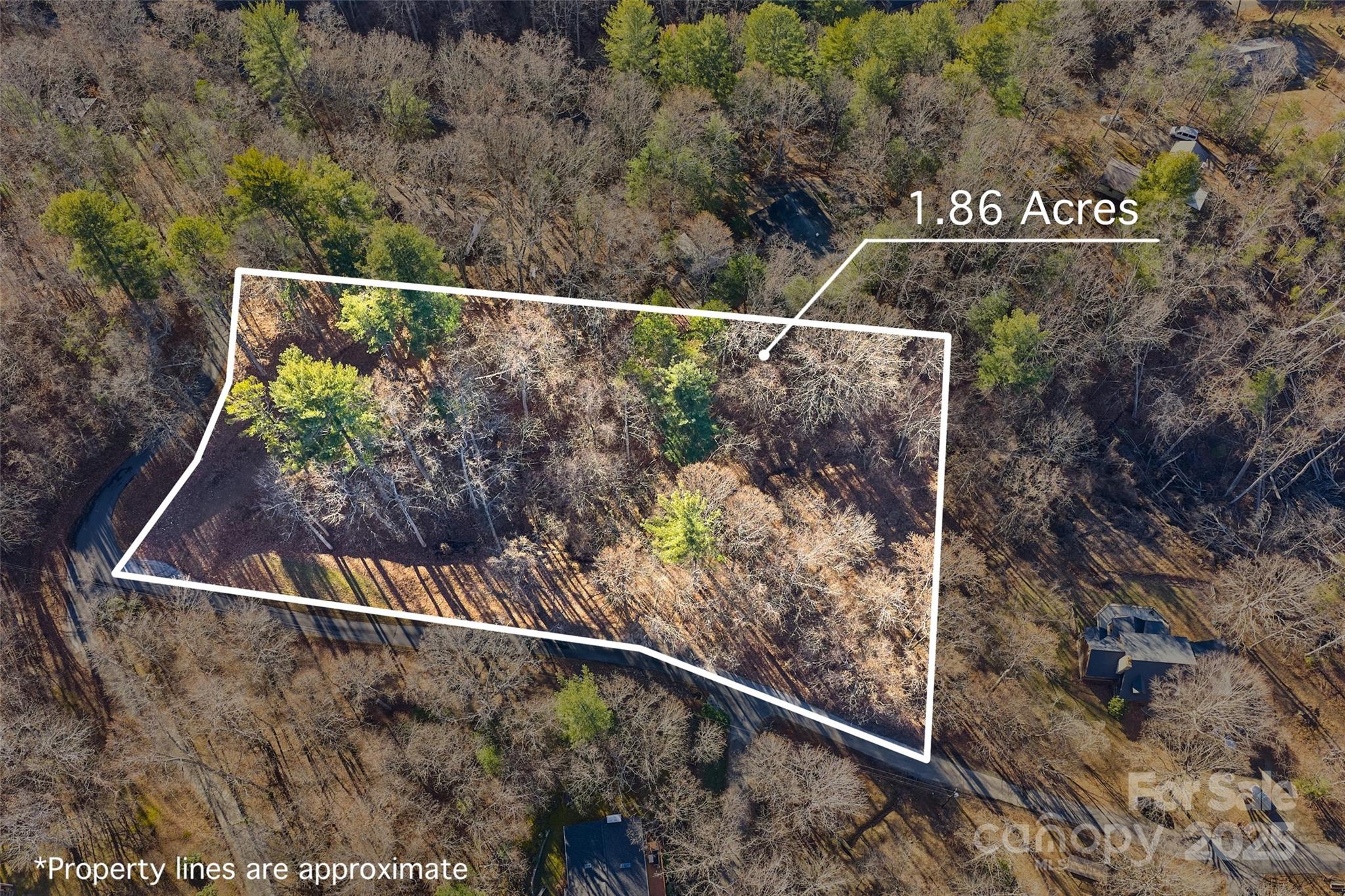 15 Beech Tree Lane