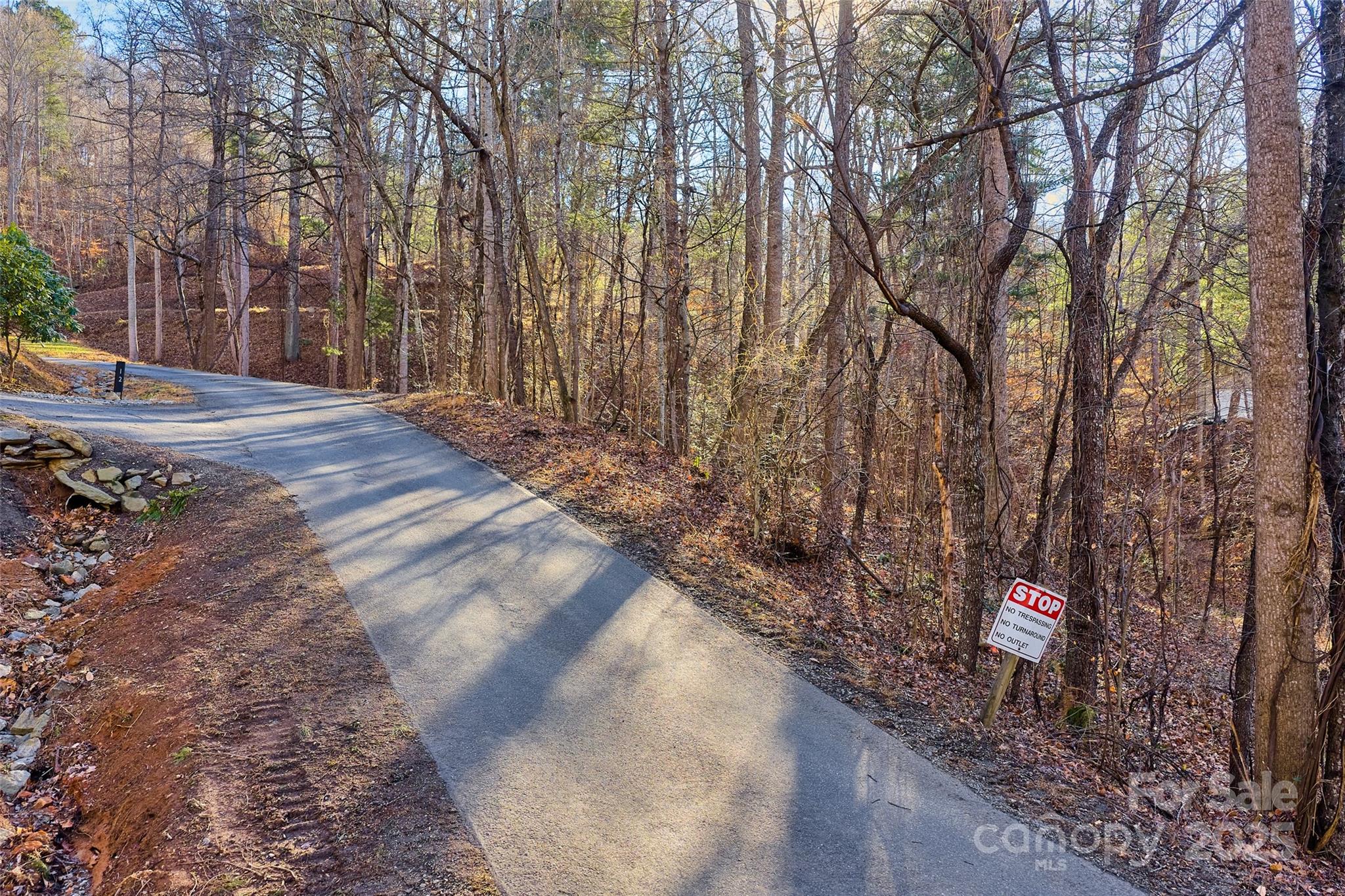 15 Beech Tree Lane