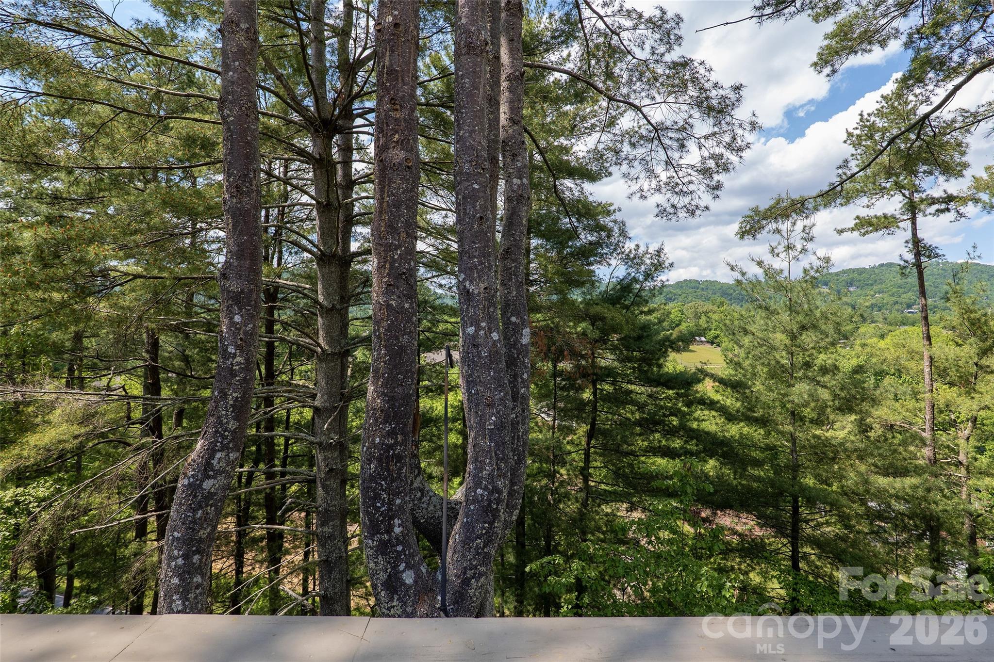 201 Timber Drive