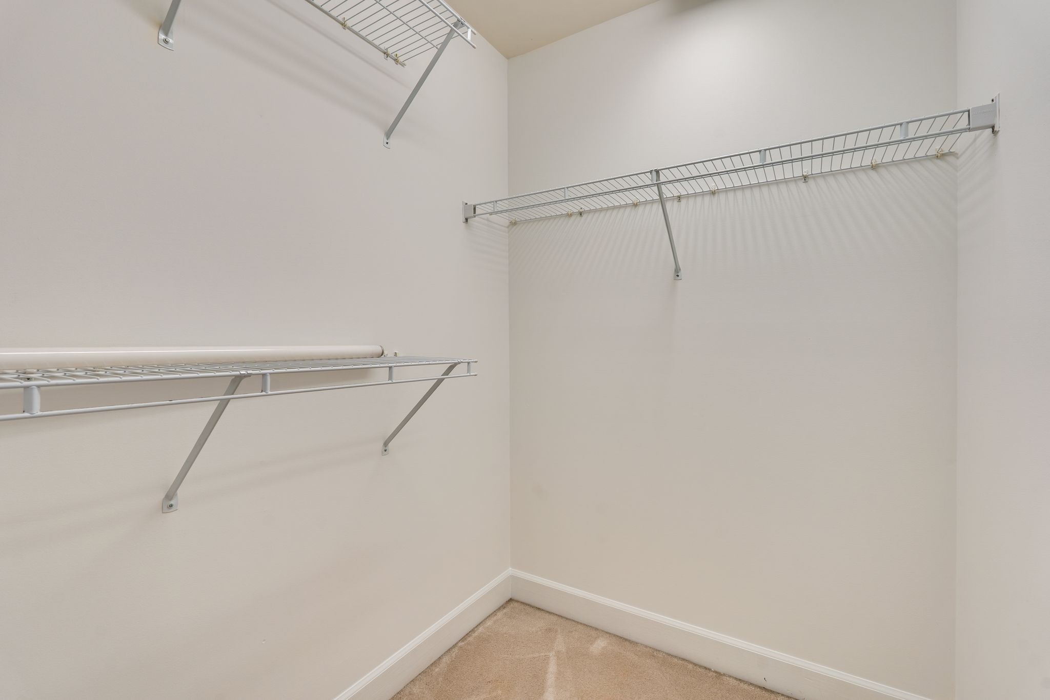 809 Cherry Laurel Ct