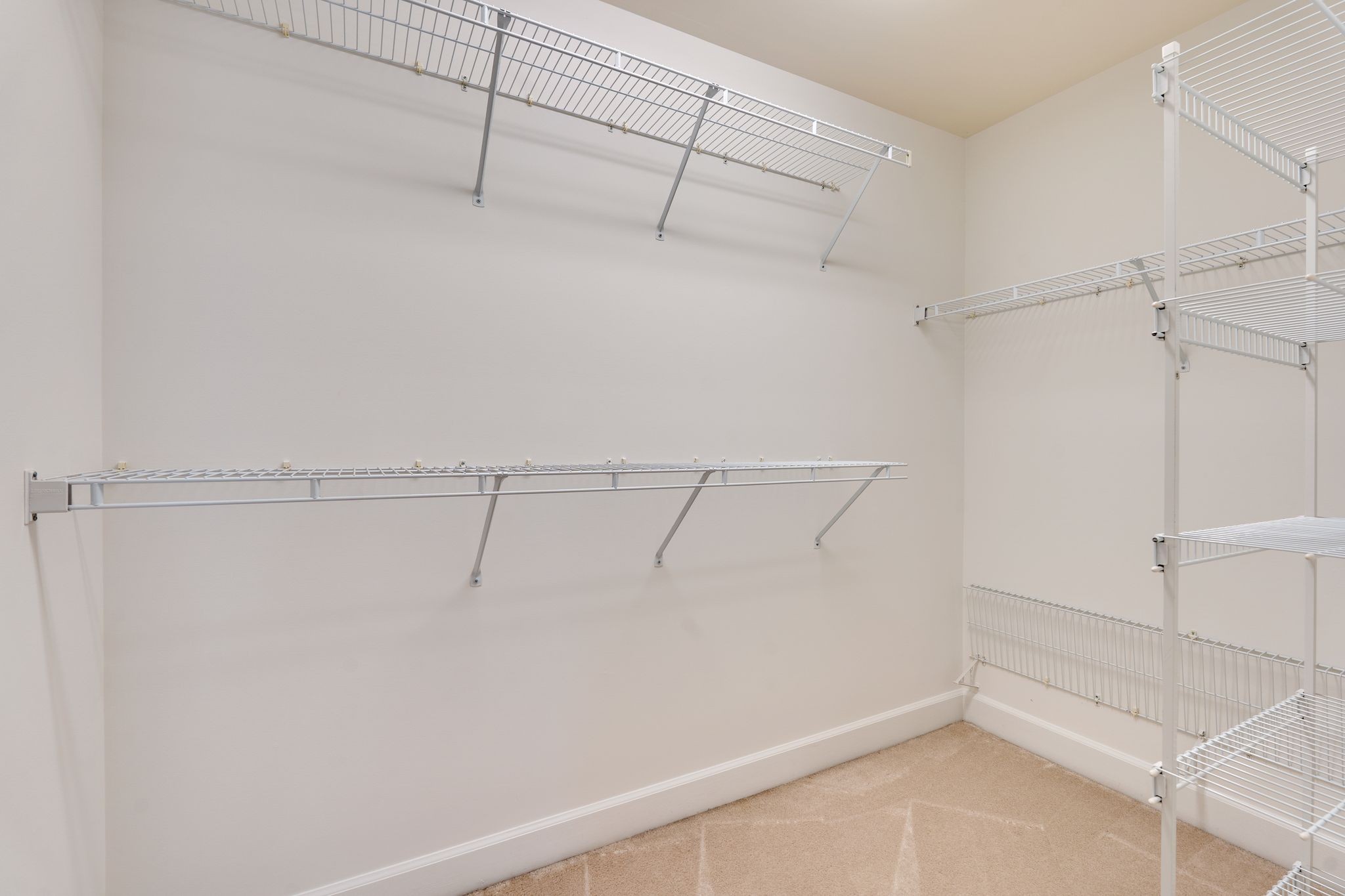 809 Cherry Laurel Ct