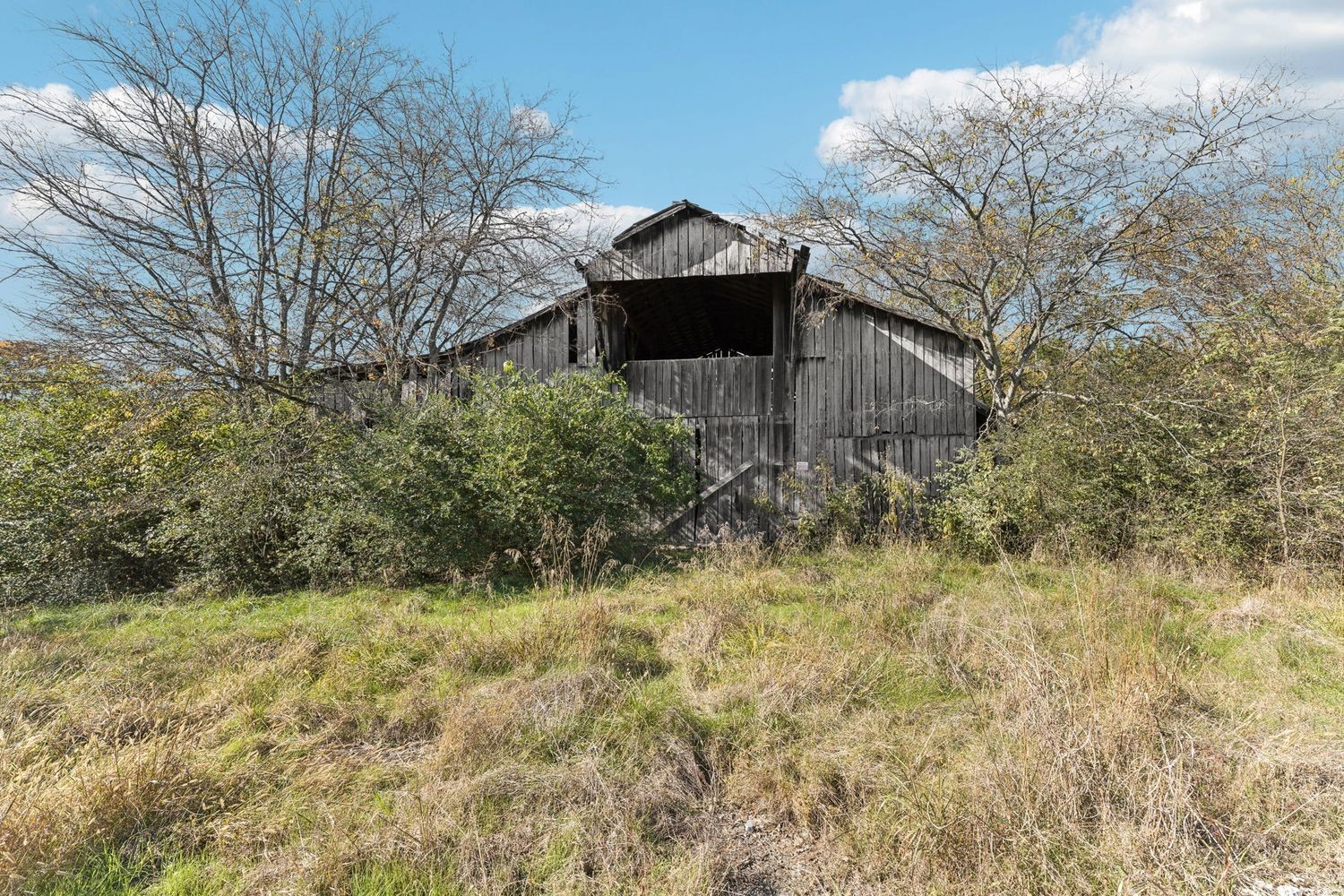 1502 Sweet Cherry Ln