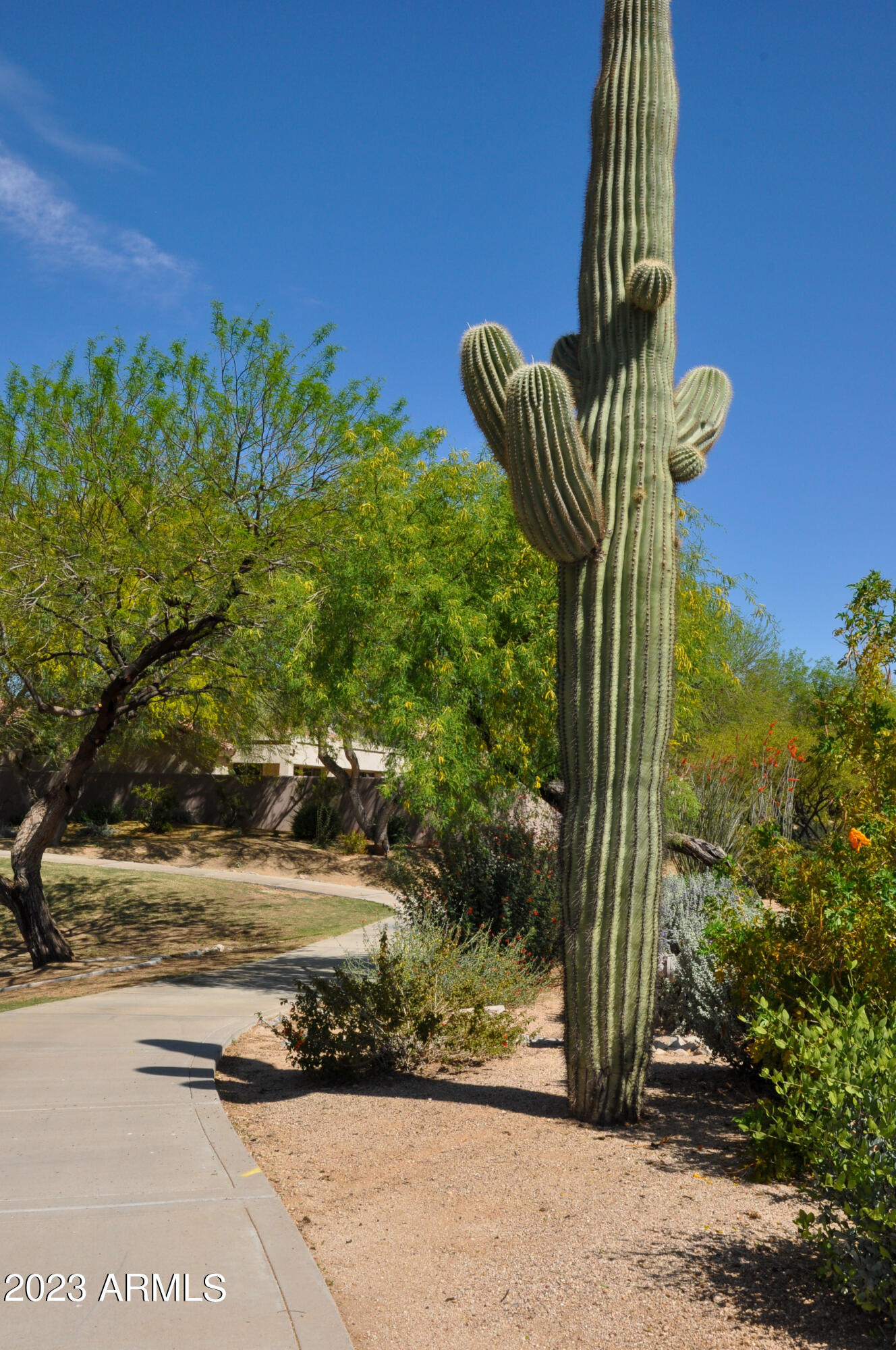 7241 E RUSTLING Pass