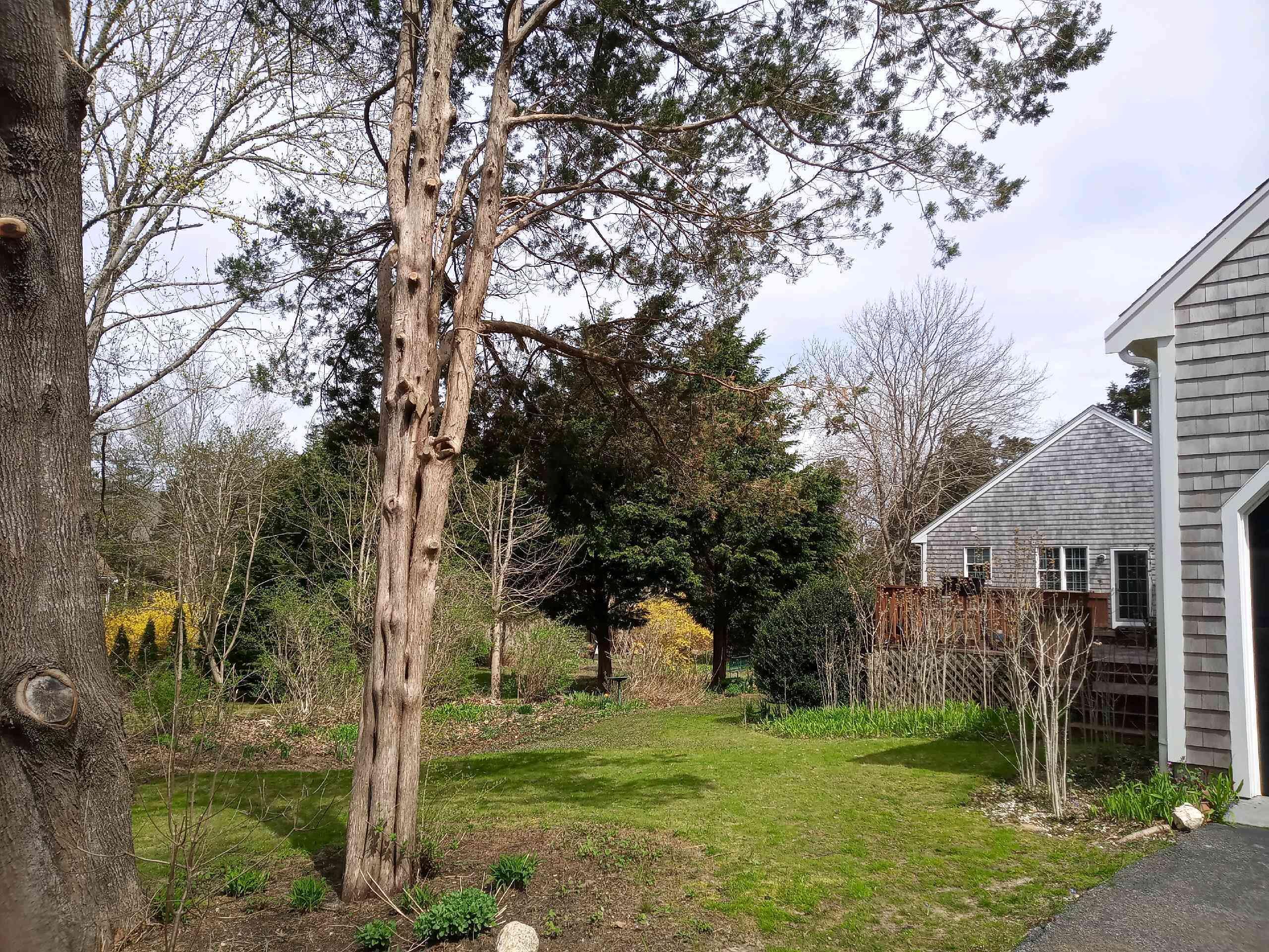 216 N Falmouth Highway