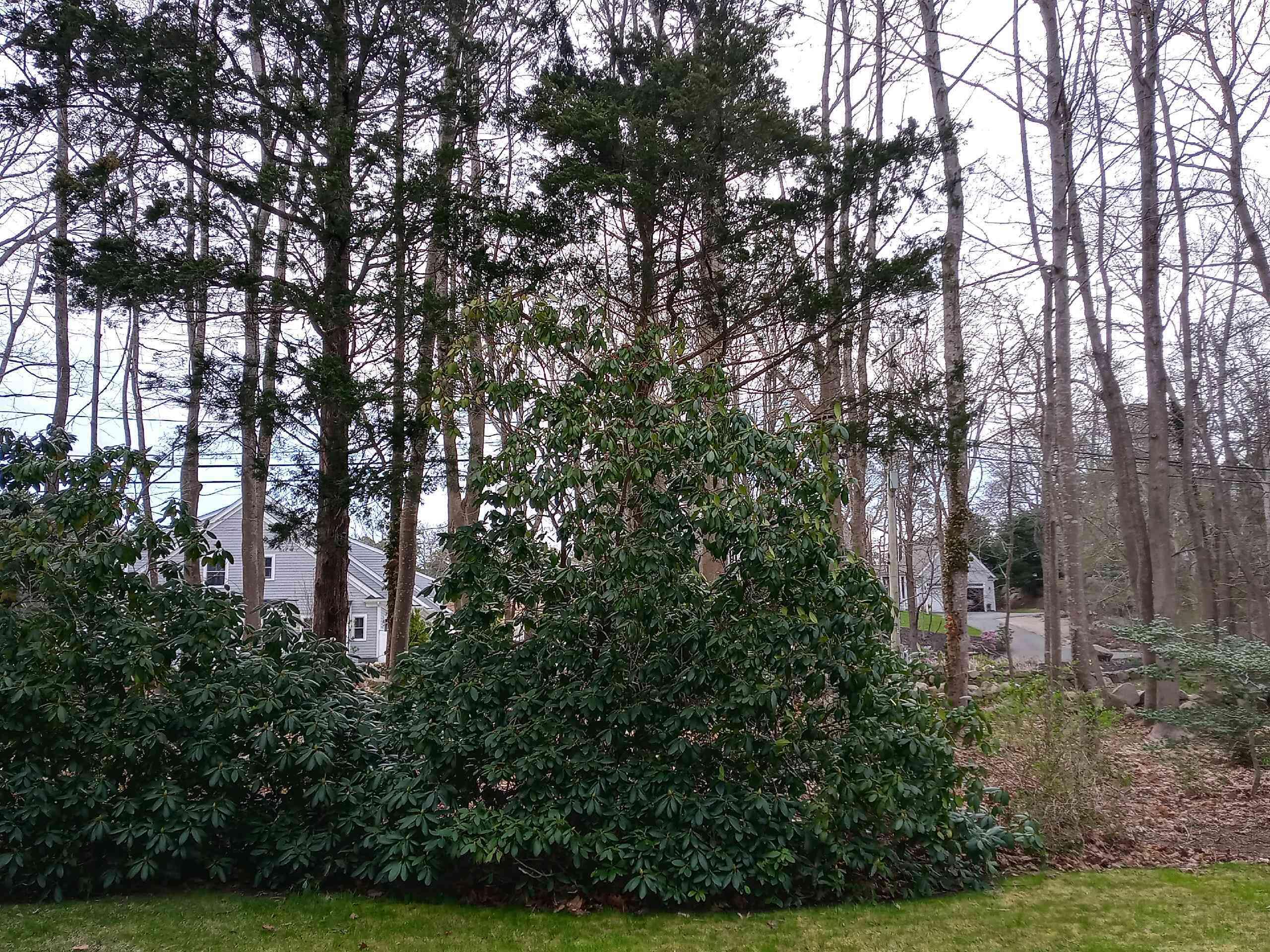 216 N Falmouth Highway