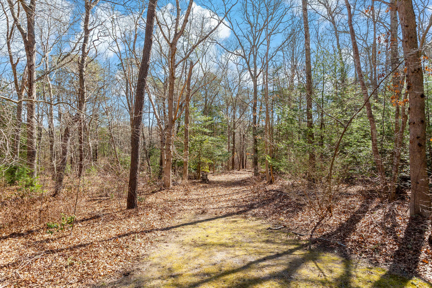 120 Great Hill Drive