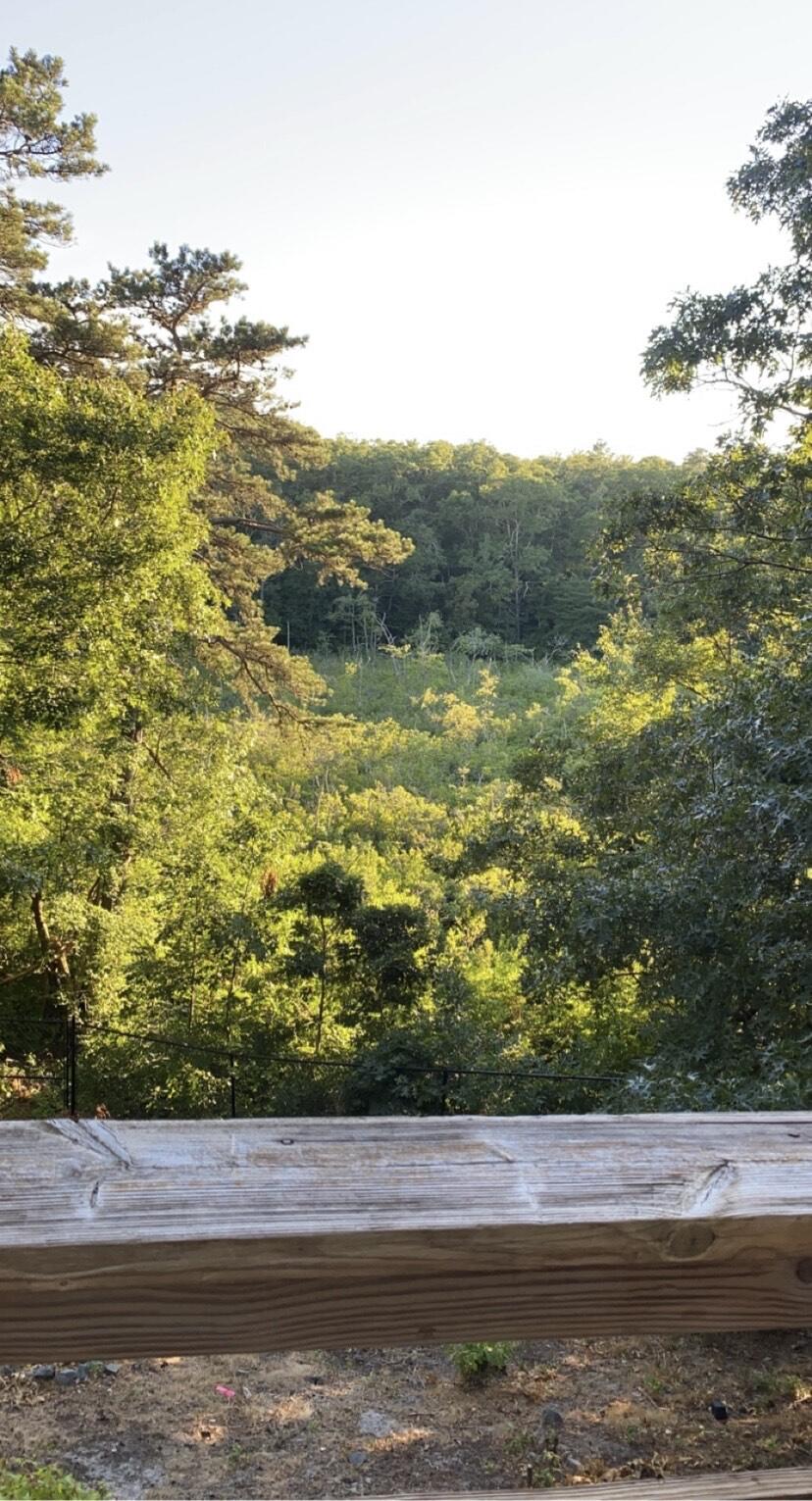 7 Santuit Pond Road
