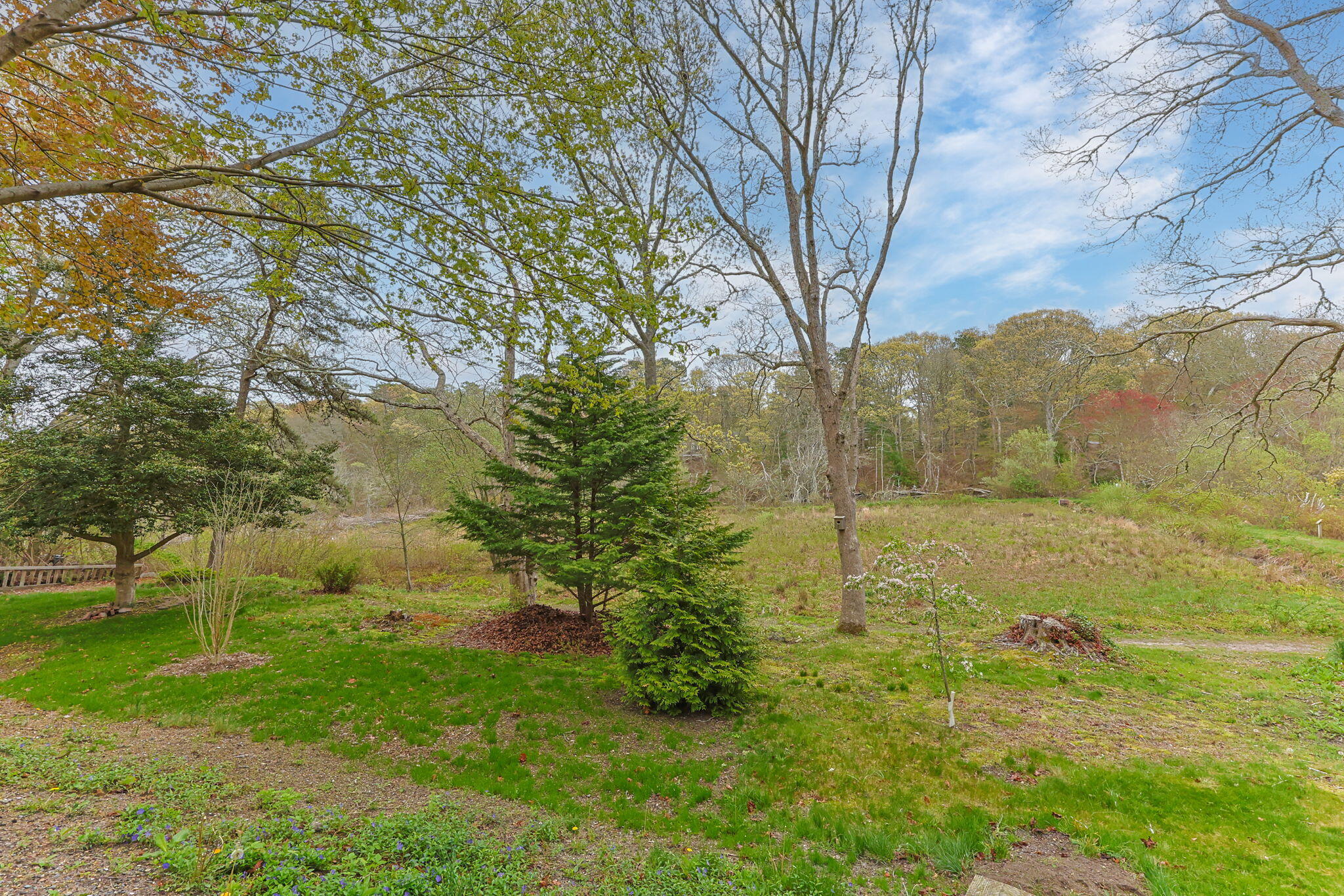 114 Stoney Cliff Road