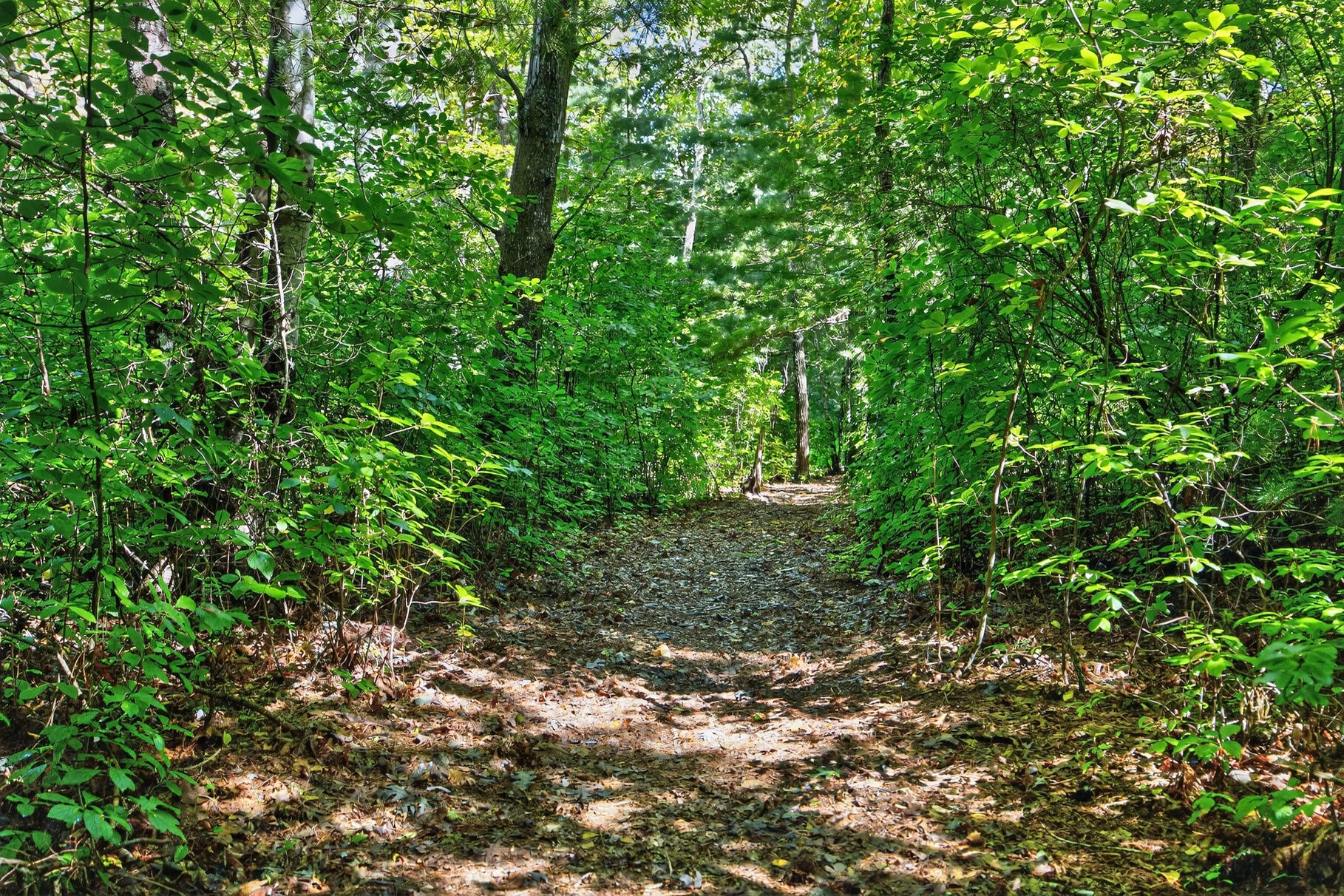 70 North Road, Pocasset