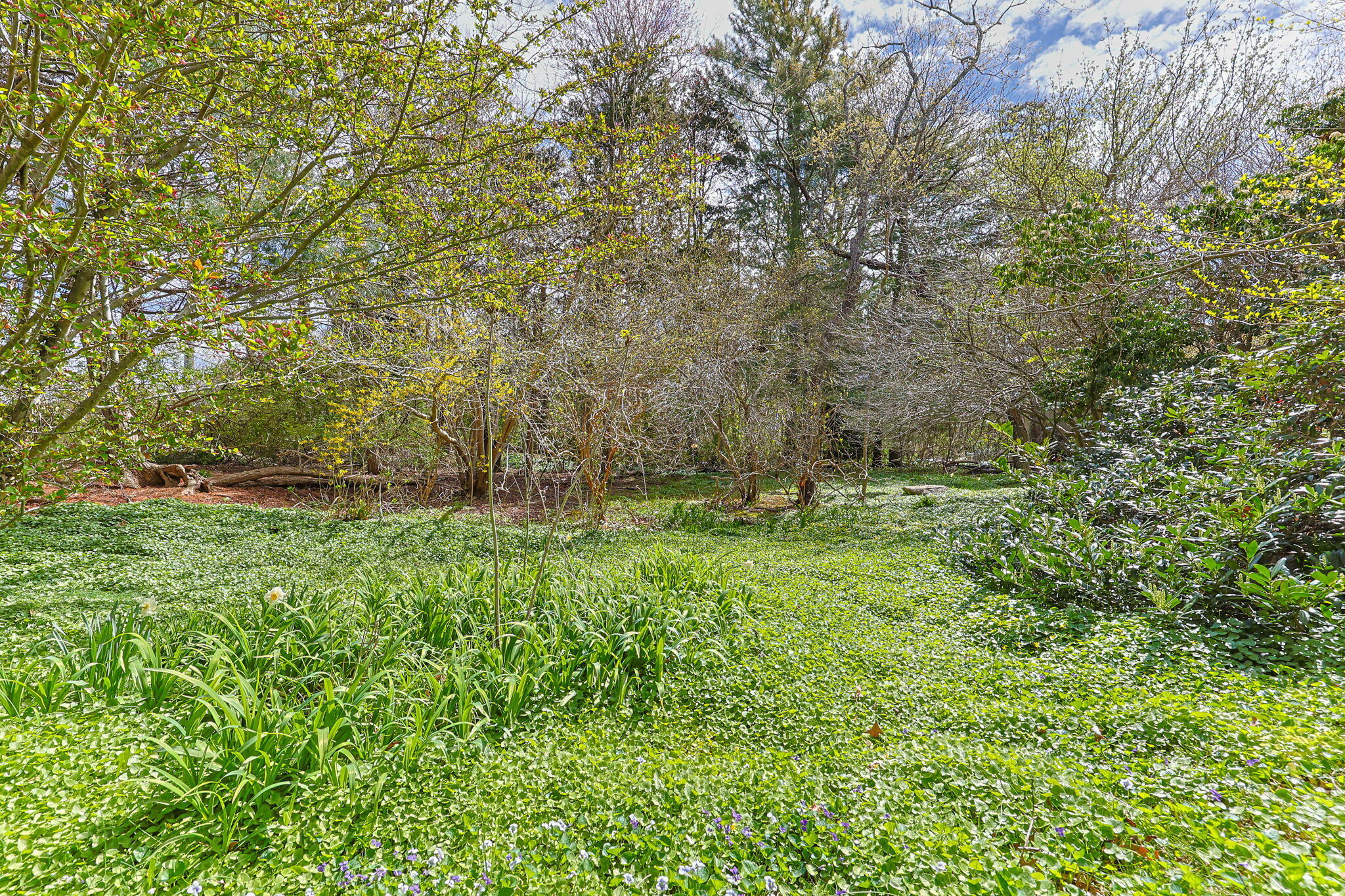 90 Comanche Drive