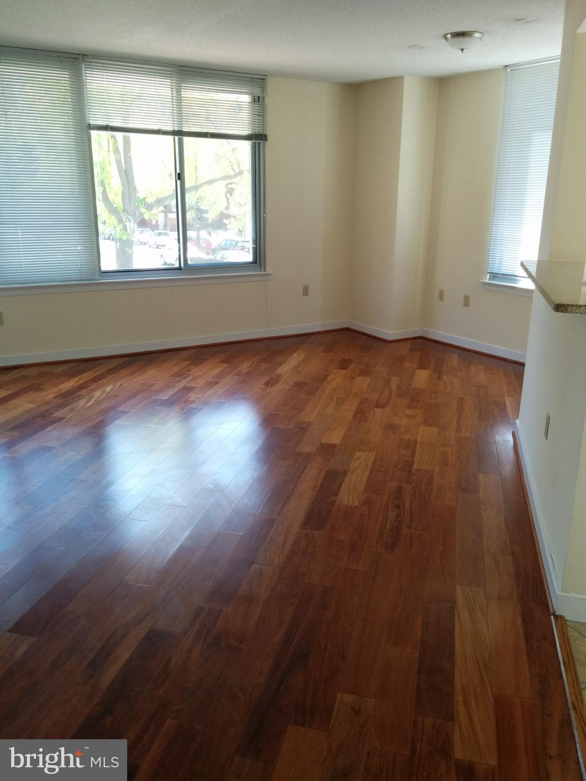 555 MASSACHUSETTS AVE NW #204