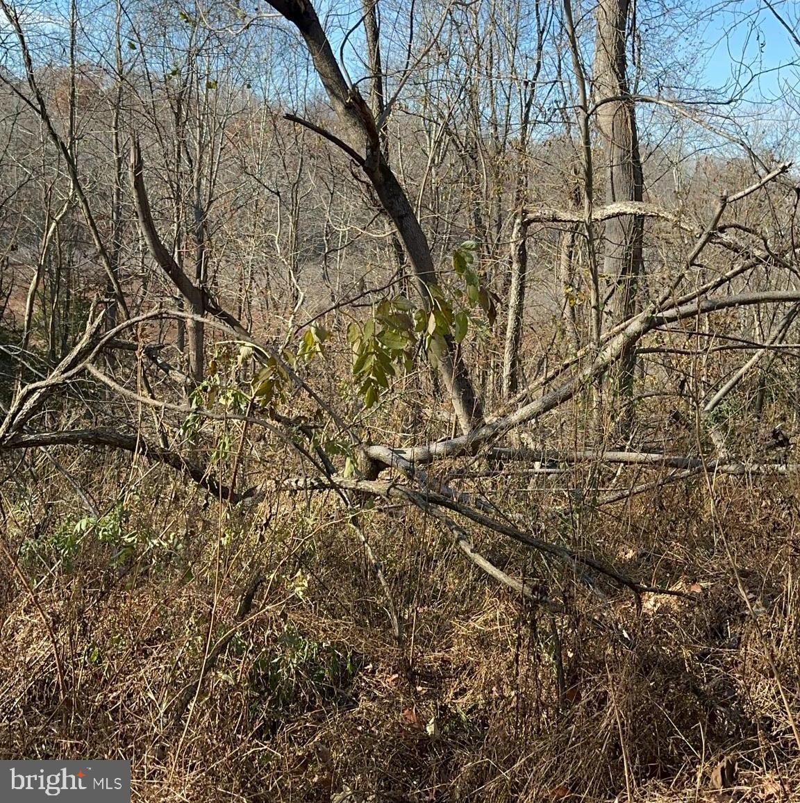 Machodoc Creek/Rt218