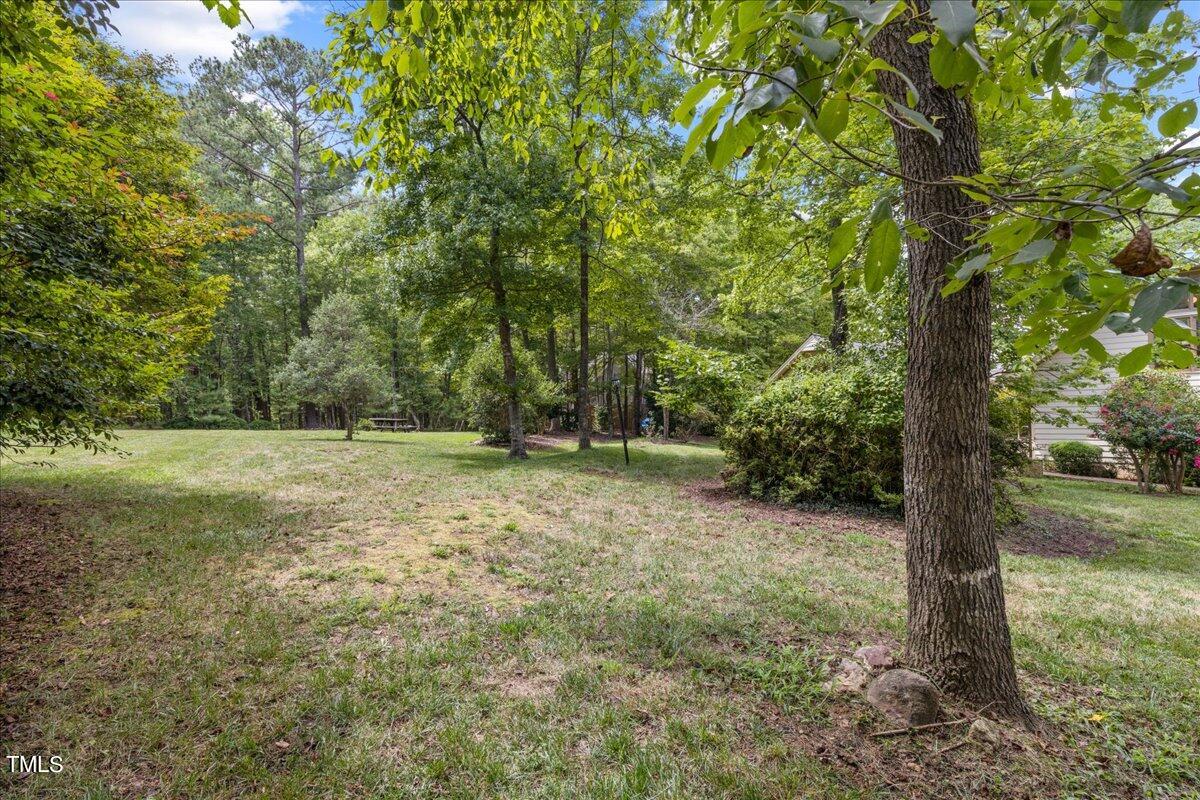 12204 Staunton Court