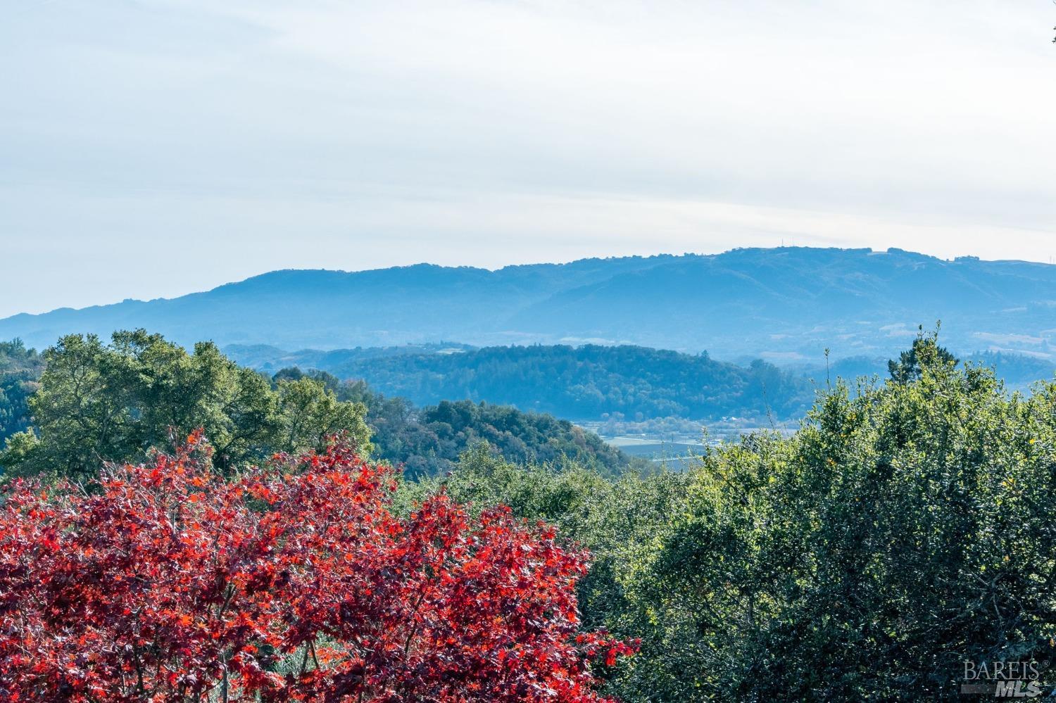 1335 Kinnybrook Drive