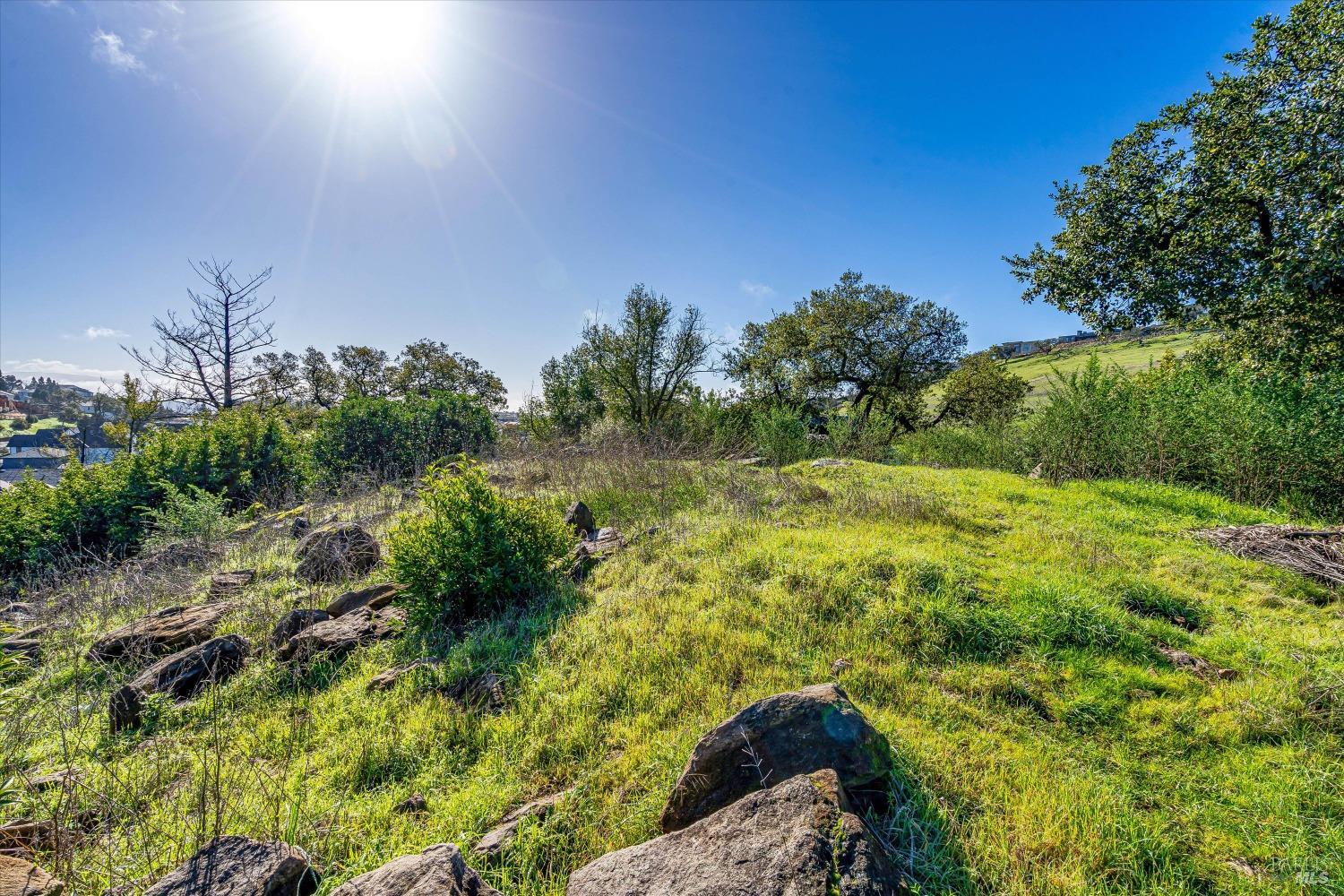 3796 Saint Andrews Drive