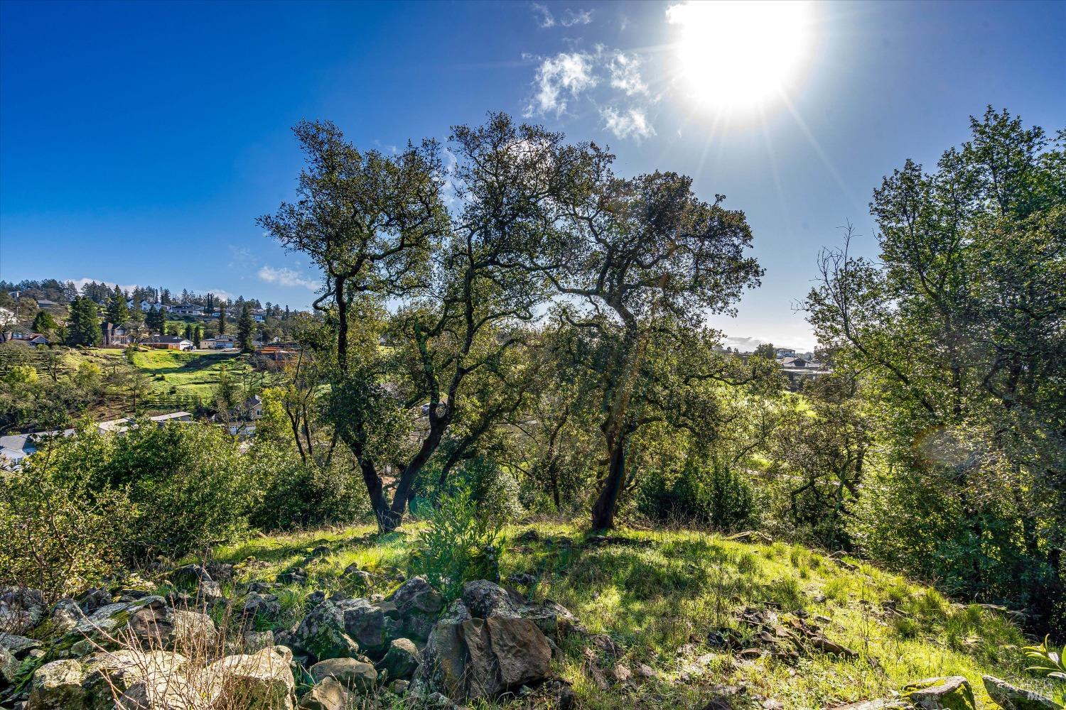 3796 Saint Andrews Drive