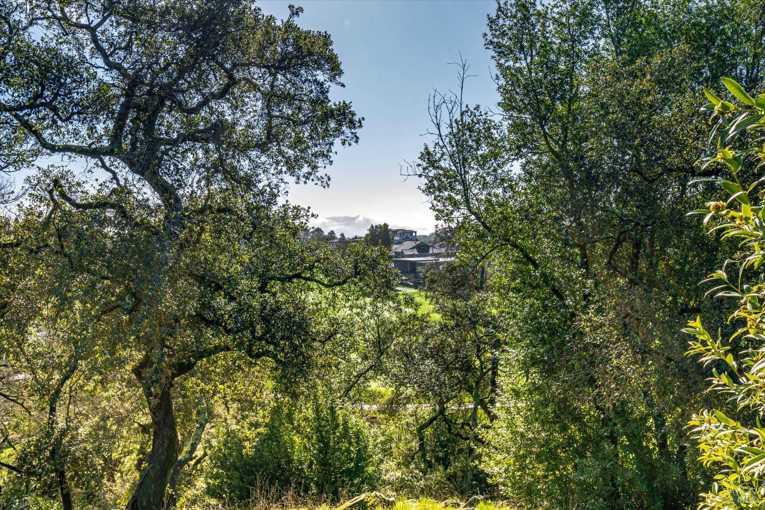 3796 Saint Andrews Drive